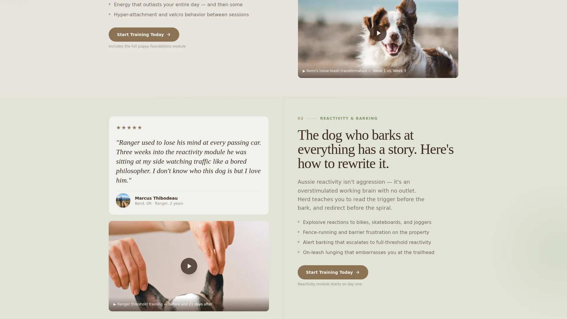 Dog Specialist Reviews Website Template