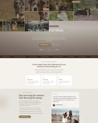 Dog Specialist Reviews Website Template