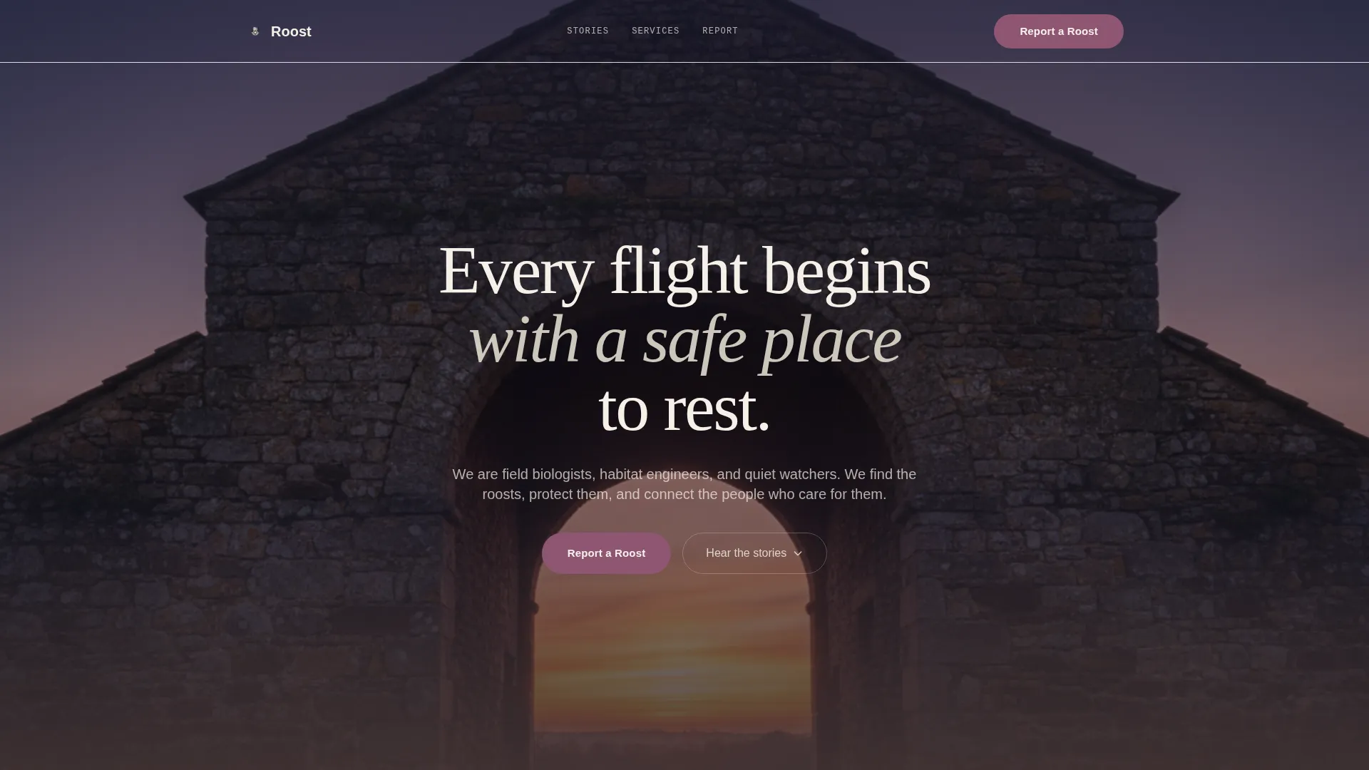Wildlife & Conservation Reviews & Social Proof Website Template