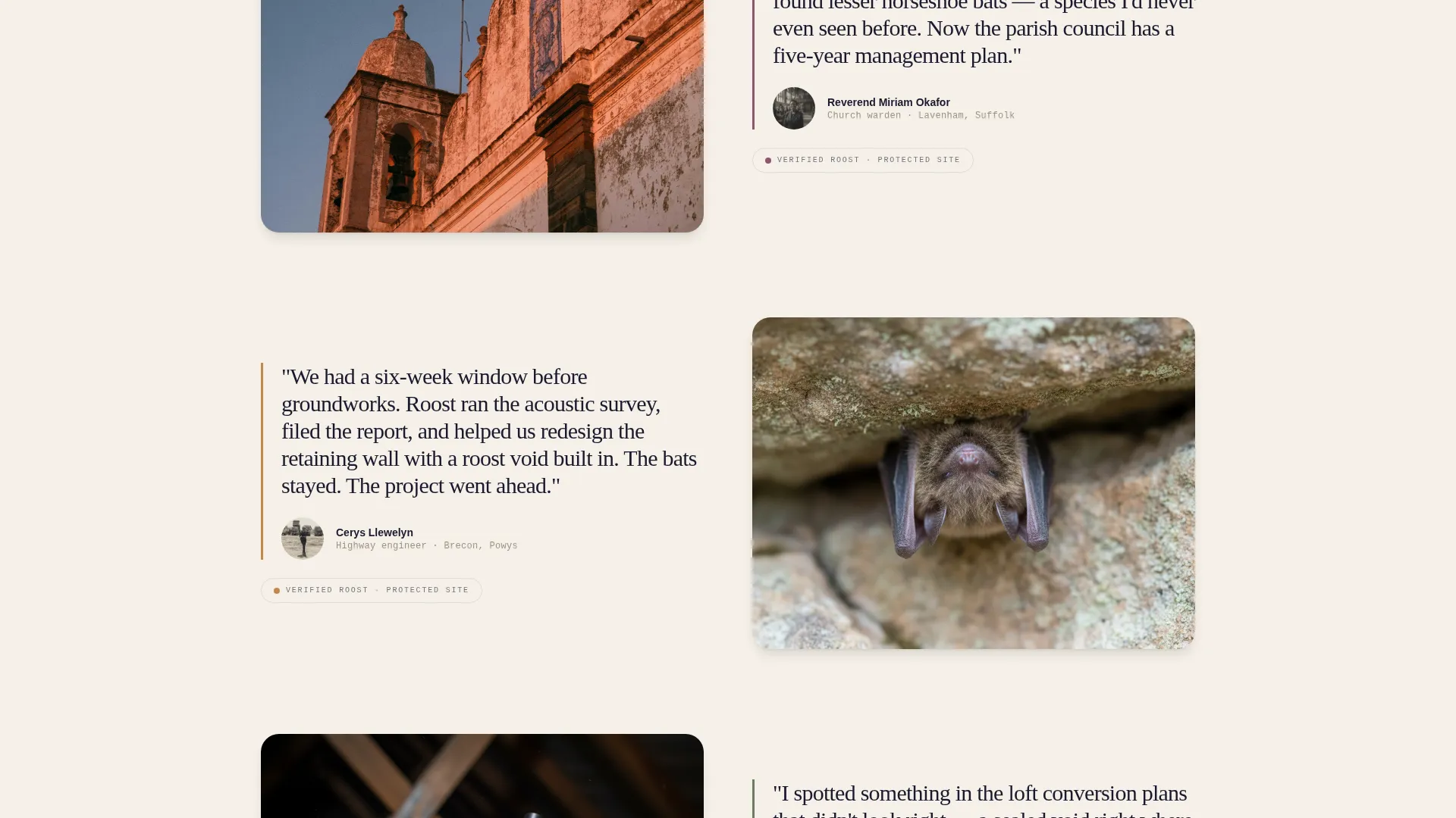 Wildlife & Conservation Reviews & Social Proof Website Template