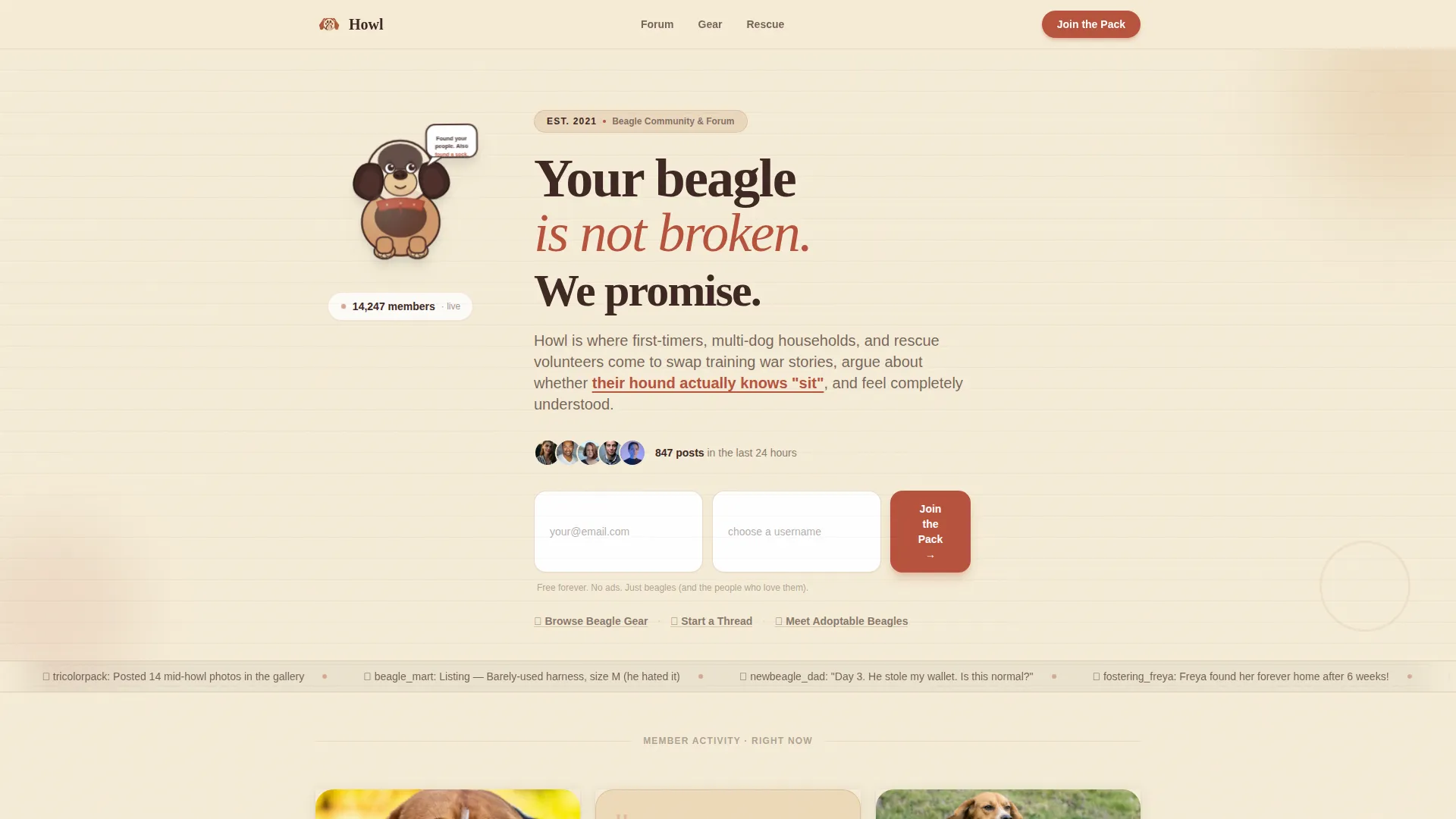Dog Premium Reviews Website Template