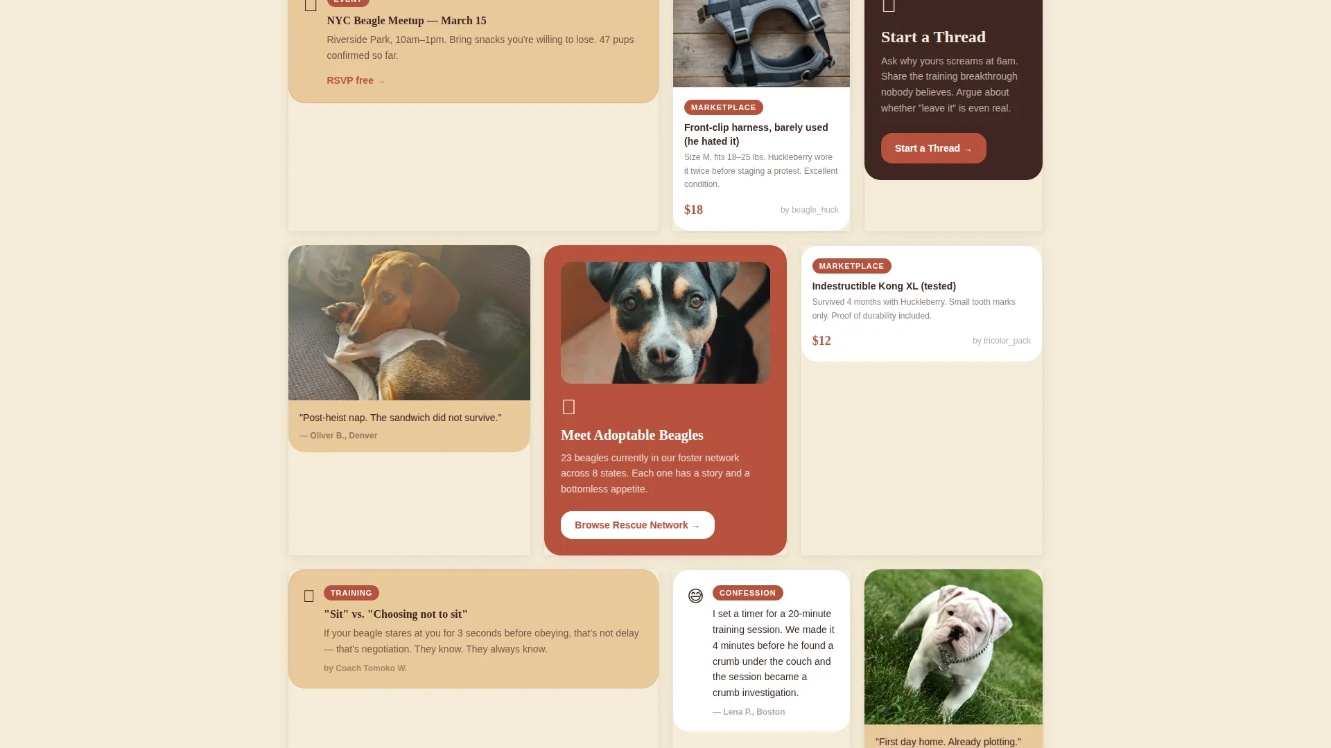 Dog Premium Reviews Website Template