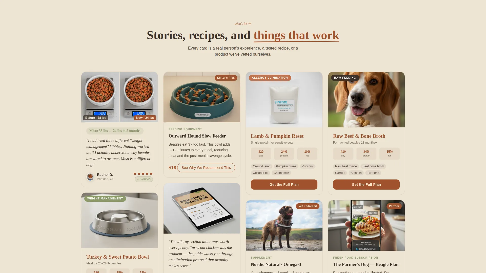 Dog Advanced Pricing Website Template