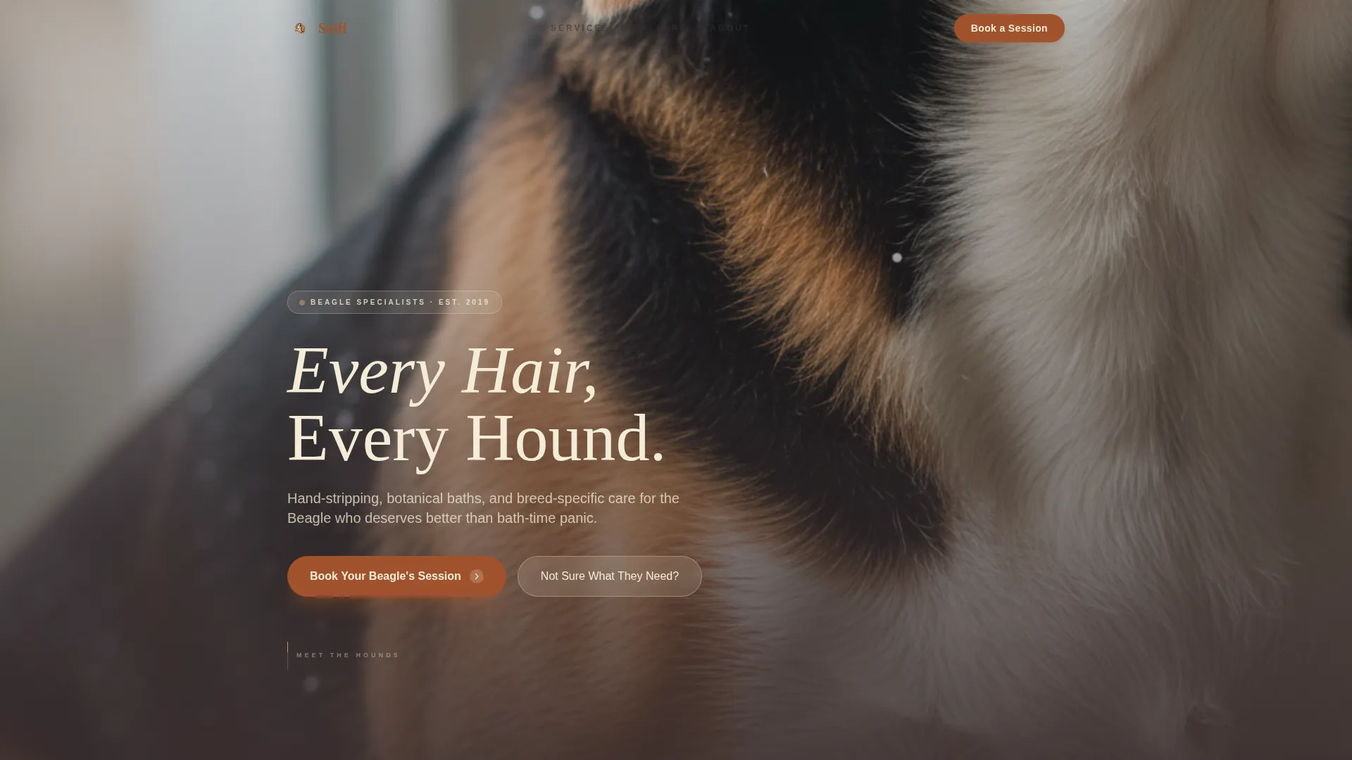 Dog Complete Booking Website Template