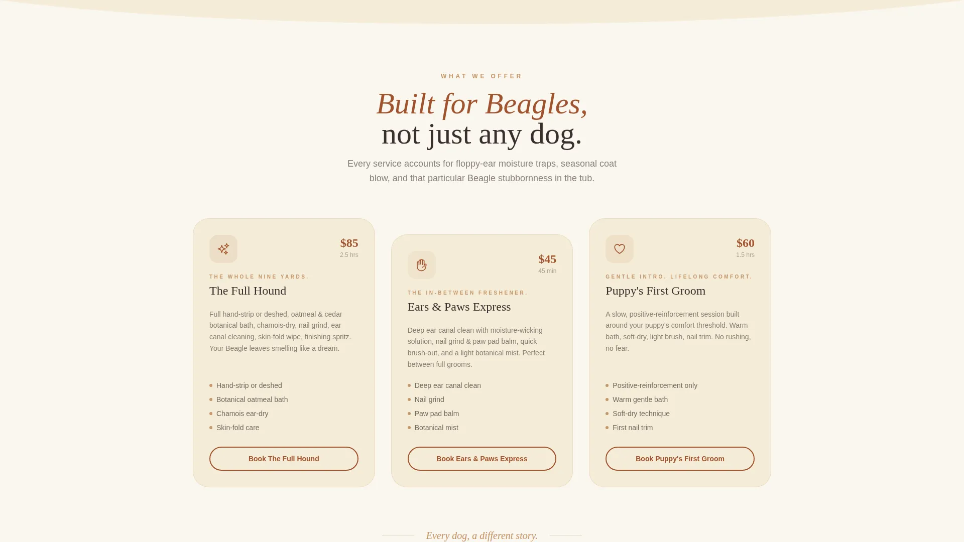 Dog Complete Booking Website Template