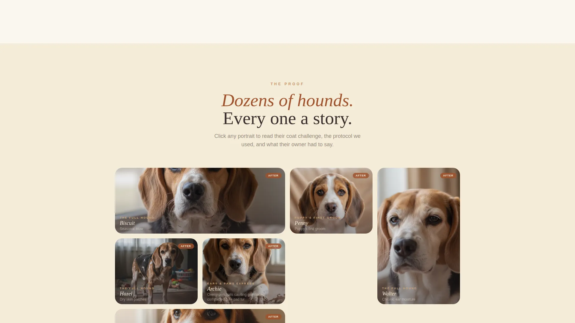 Dog Complete Booking Website Template