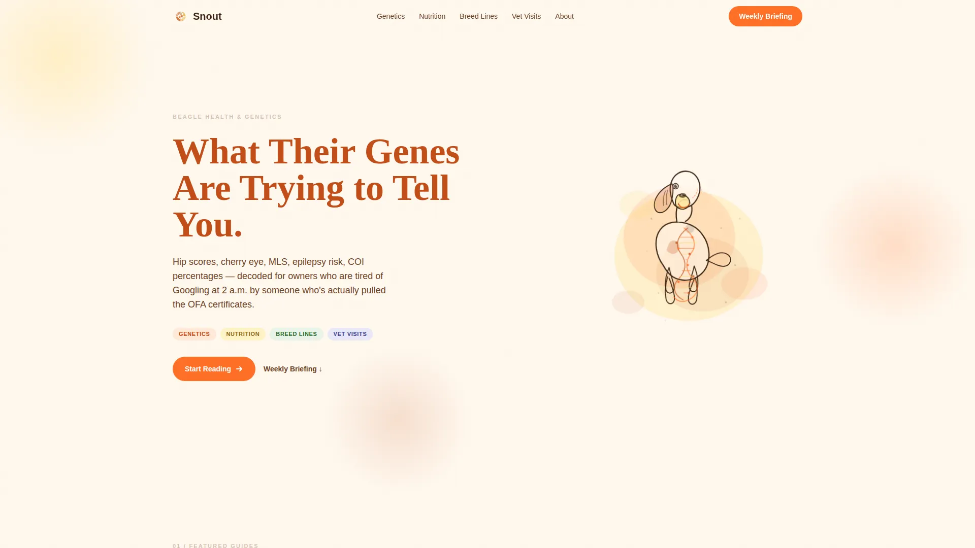 Dog Blog Website Template