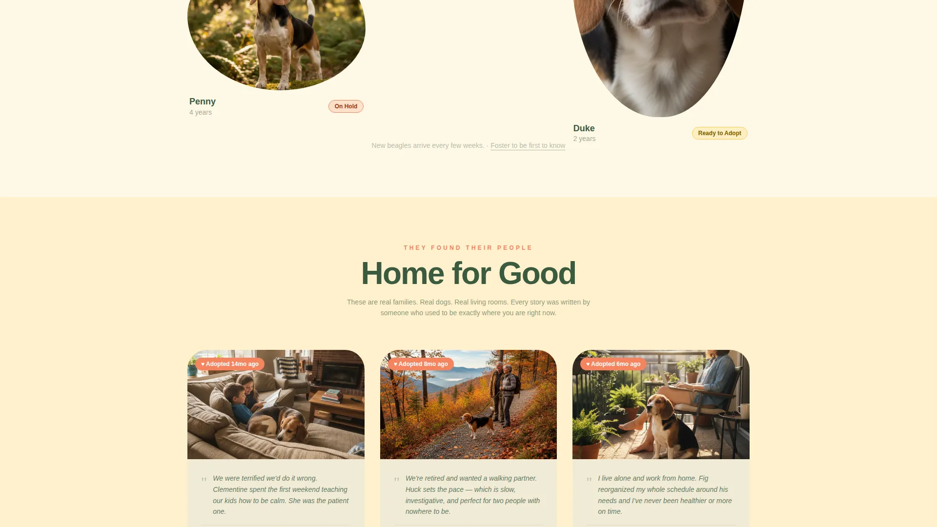 Dog Expert Professional Website Template
