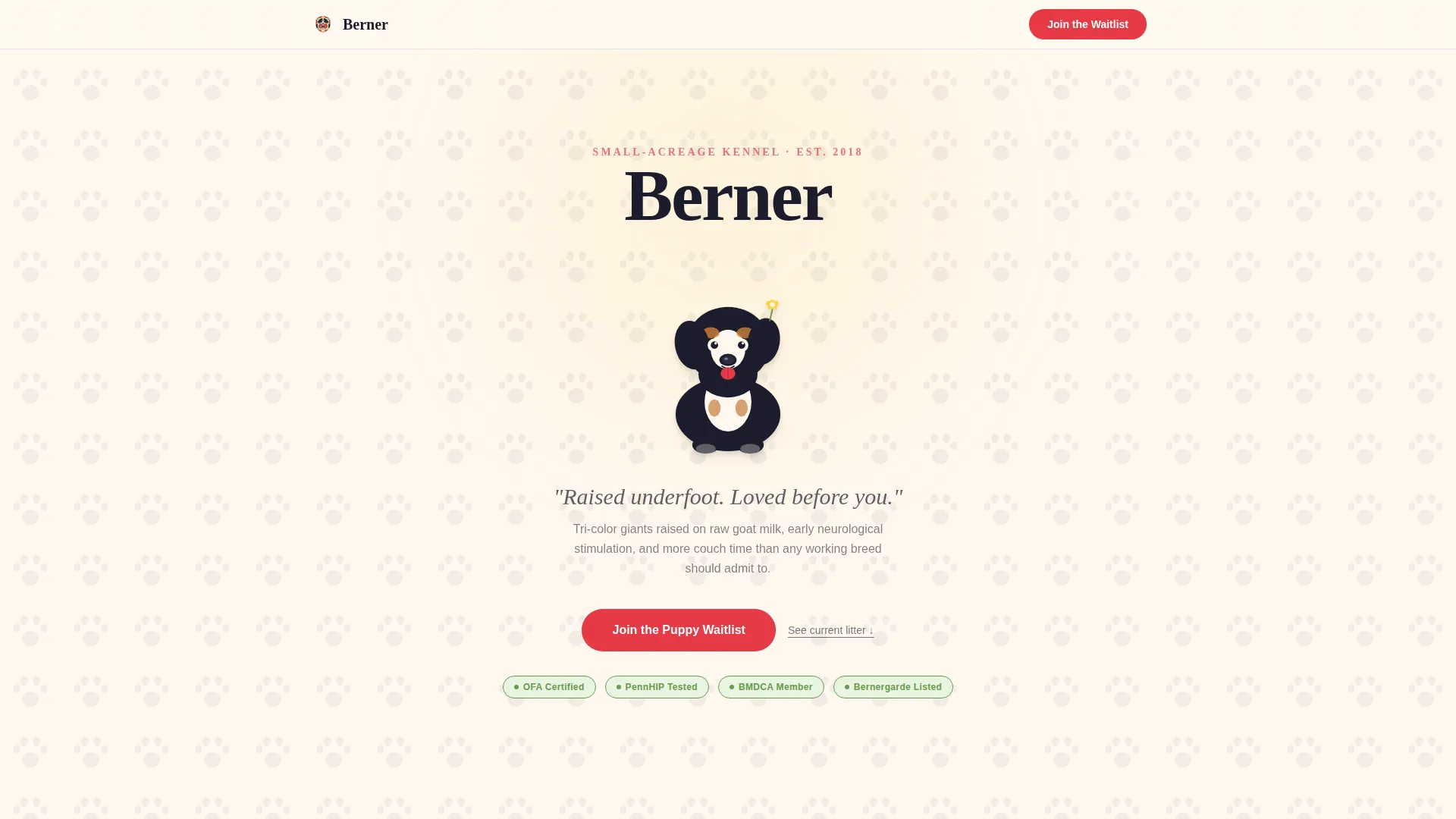 Dog Specialist Pre-Launch Website Template