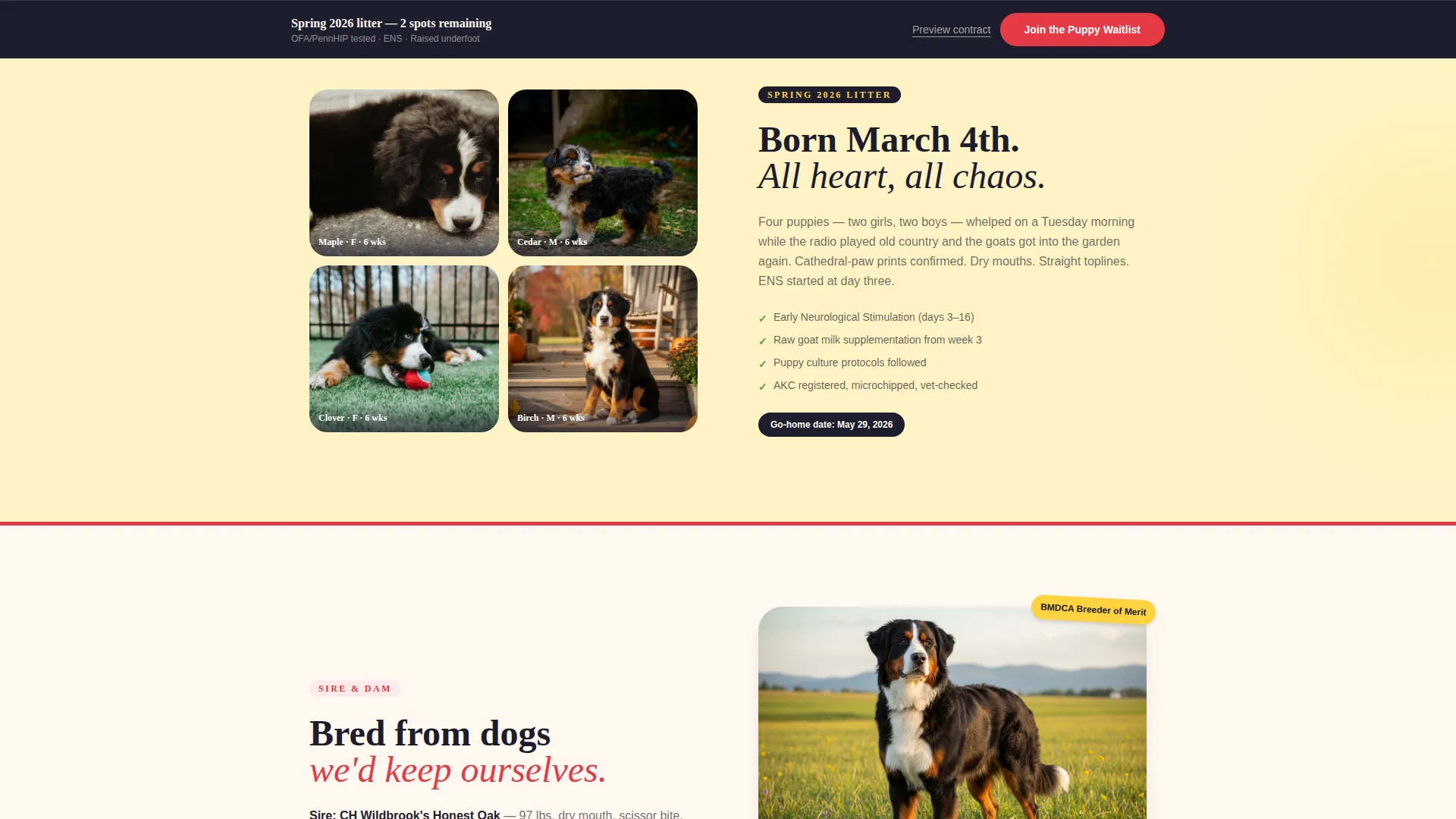Dog Specialist Pre-Launch Website Template