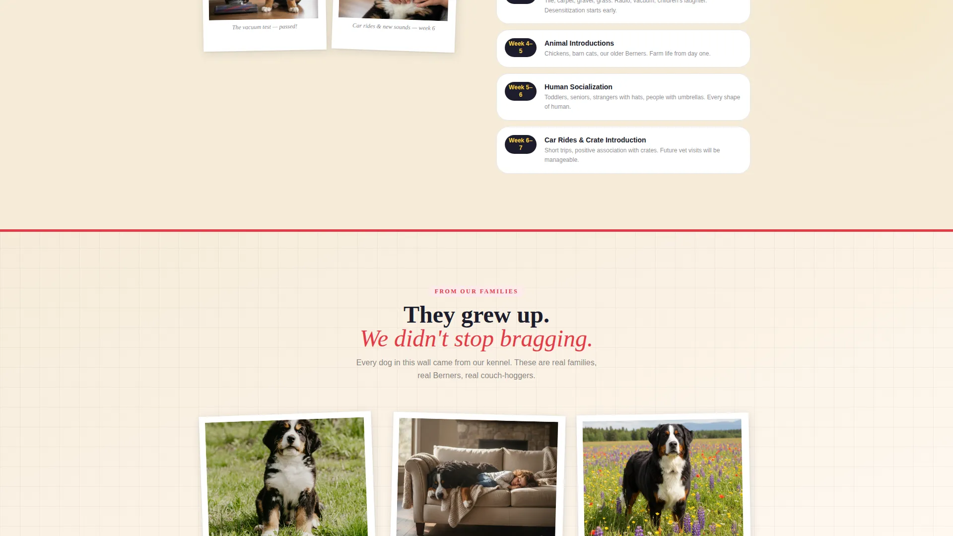 Dog Specialist Pre-Launch Website Template