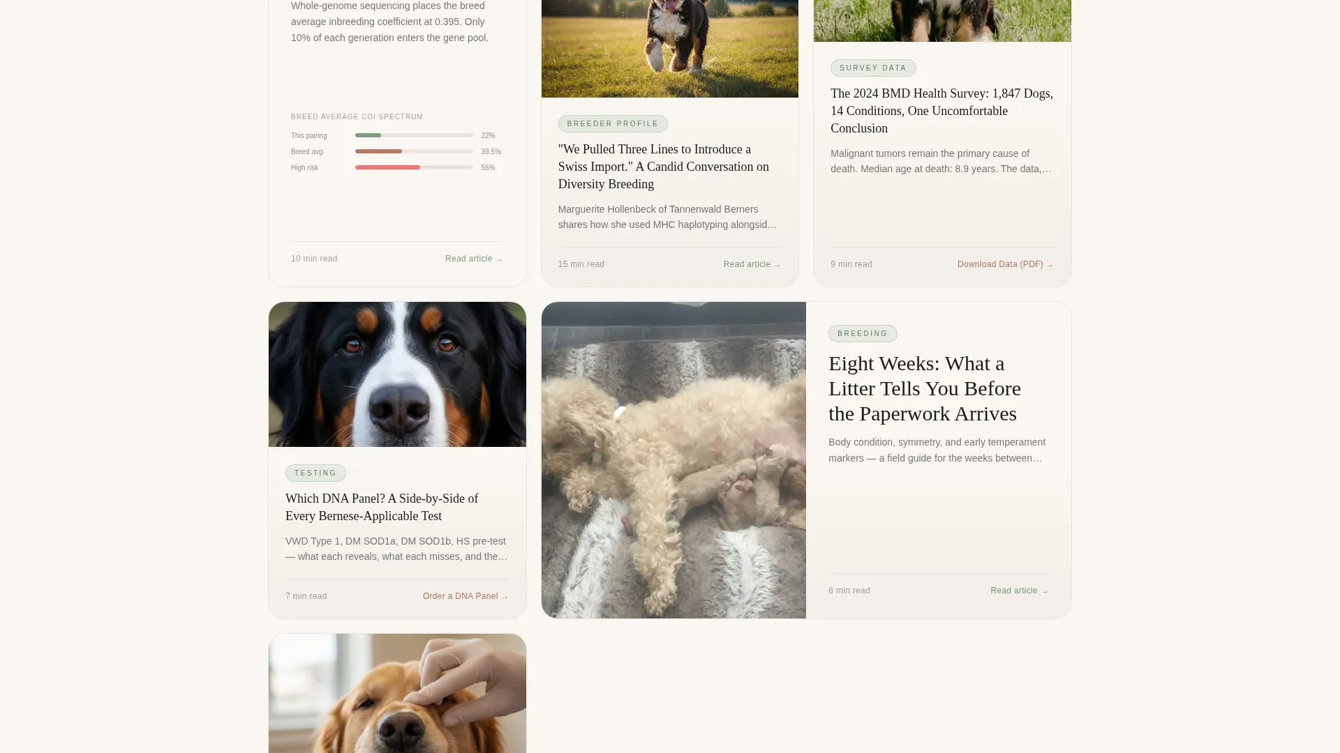 Dog Directory Website Template