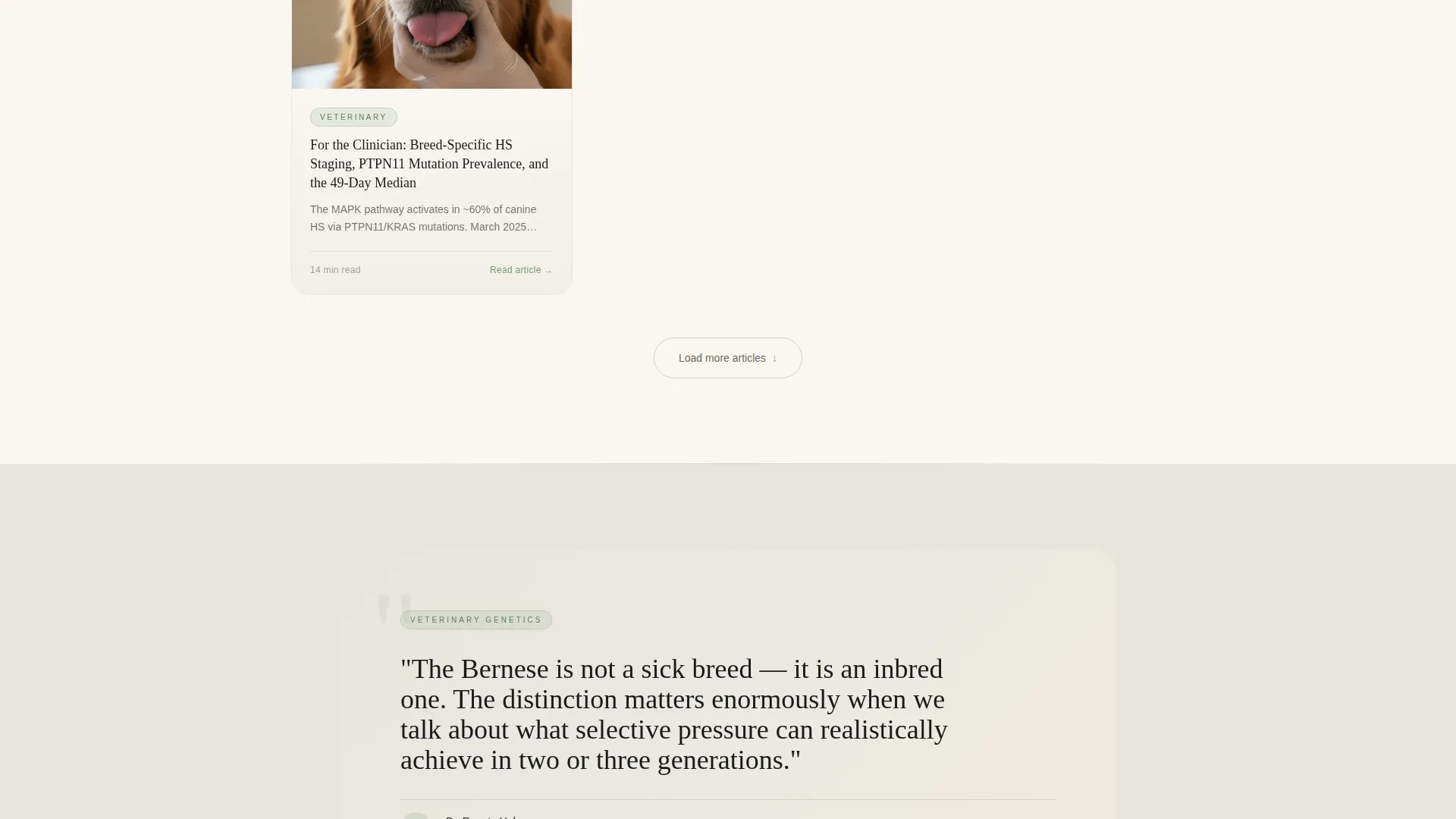 Dog Directory Website Template