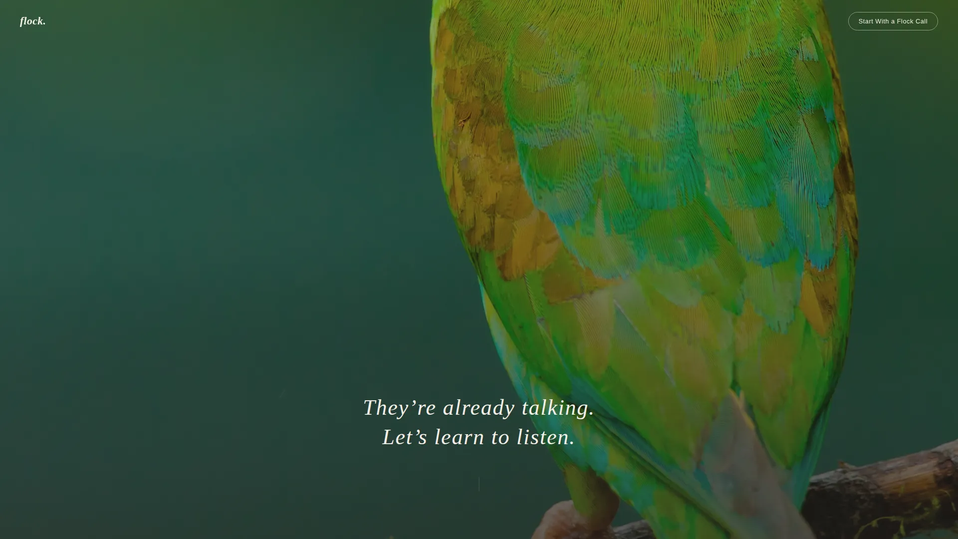 Bird Behavior Consultant Landing Page Template