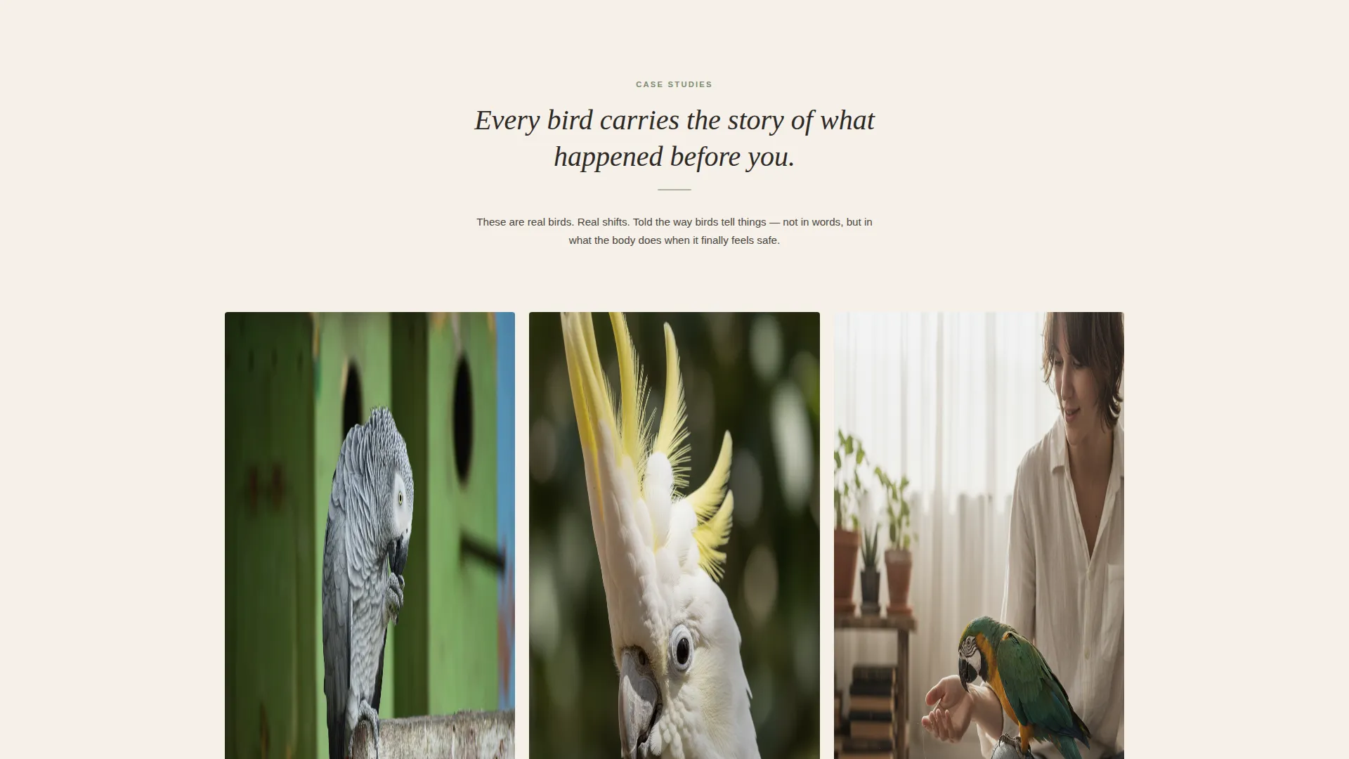 Bird Behavior Consultant Landing Page Template