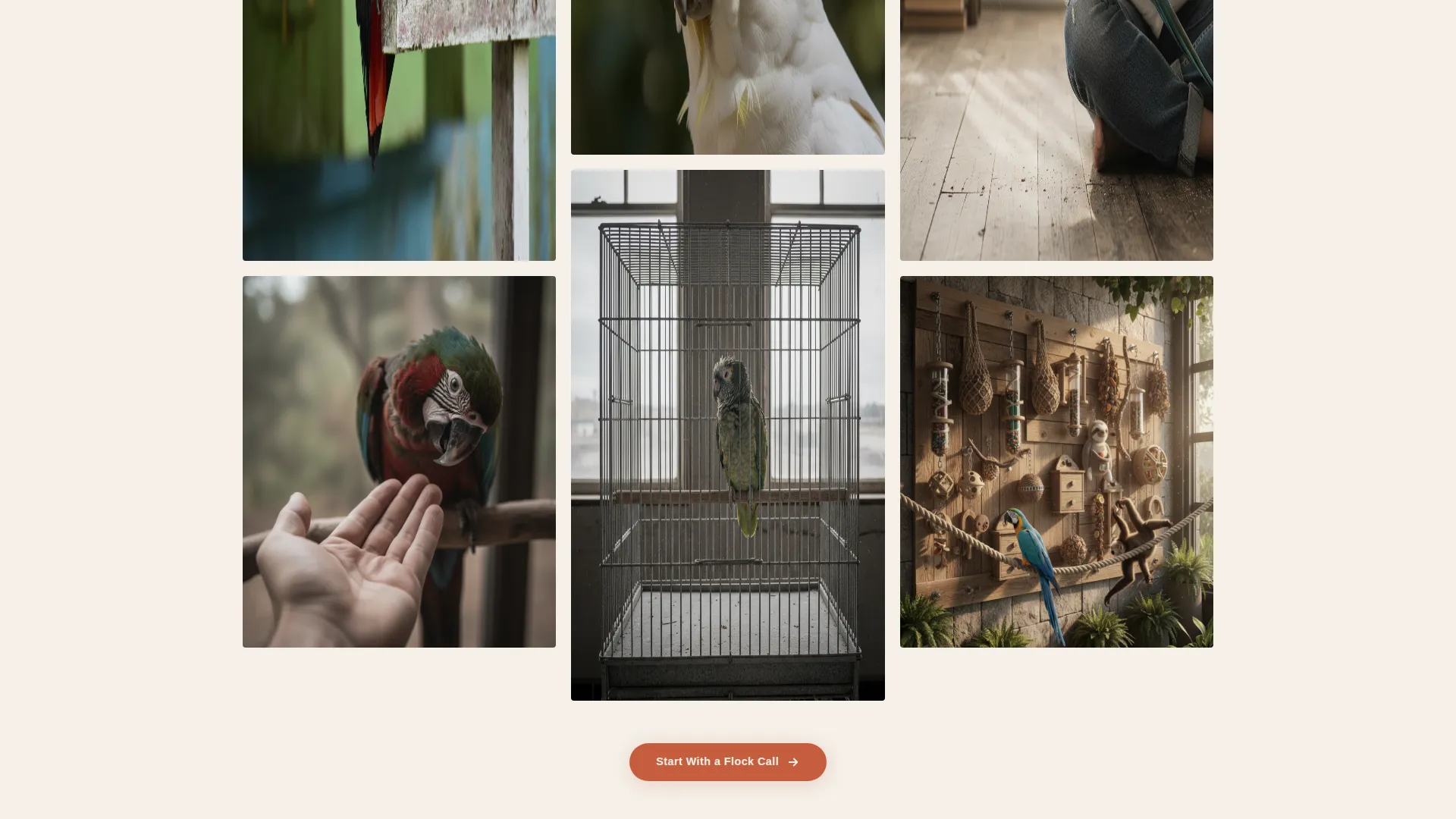 Bird Behavior Consultant Landing Page Template