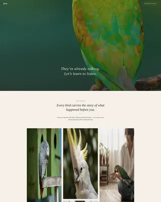 Bird Behavior Consultant Landing Page Template