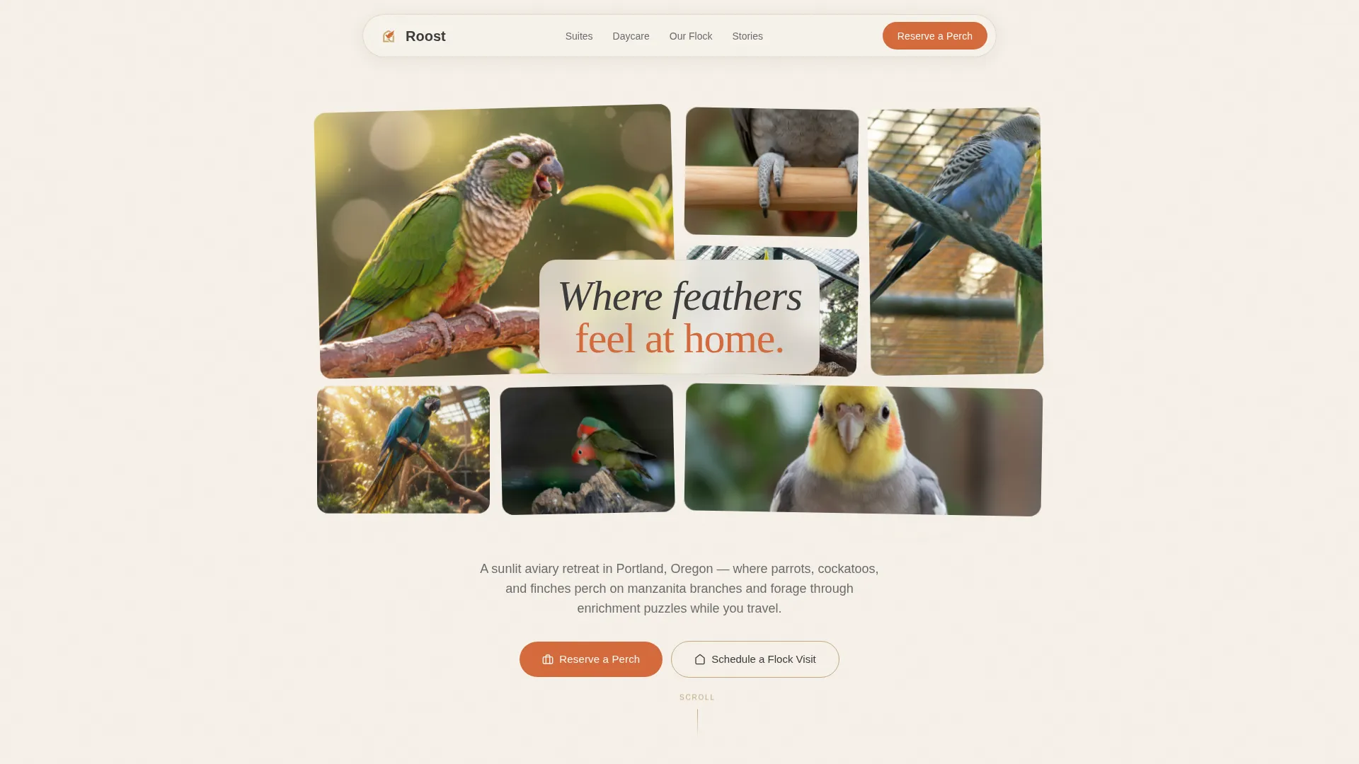 Bird Boarding & Daycare Landing Page Template