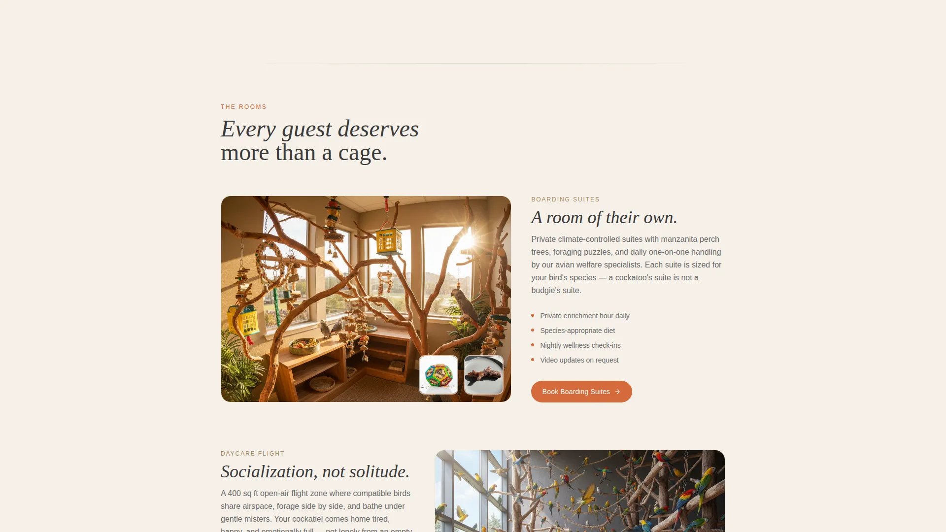 Bird Boarding & Daycare Landing Page Template