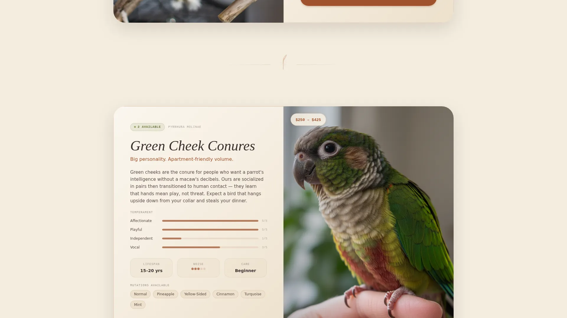 Highconverting Breeder Landing Page Template