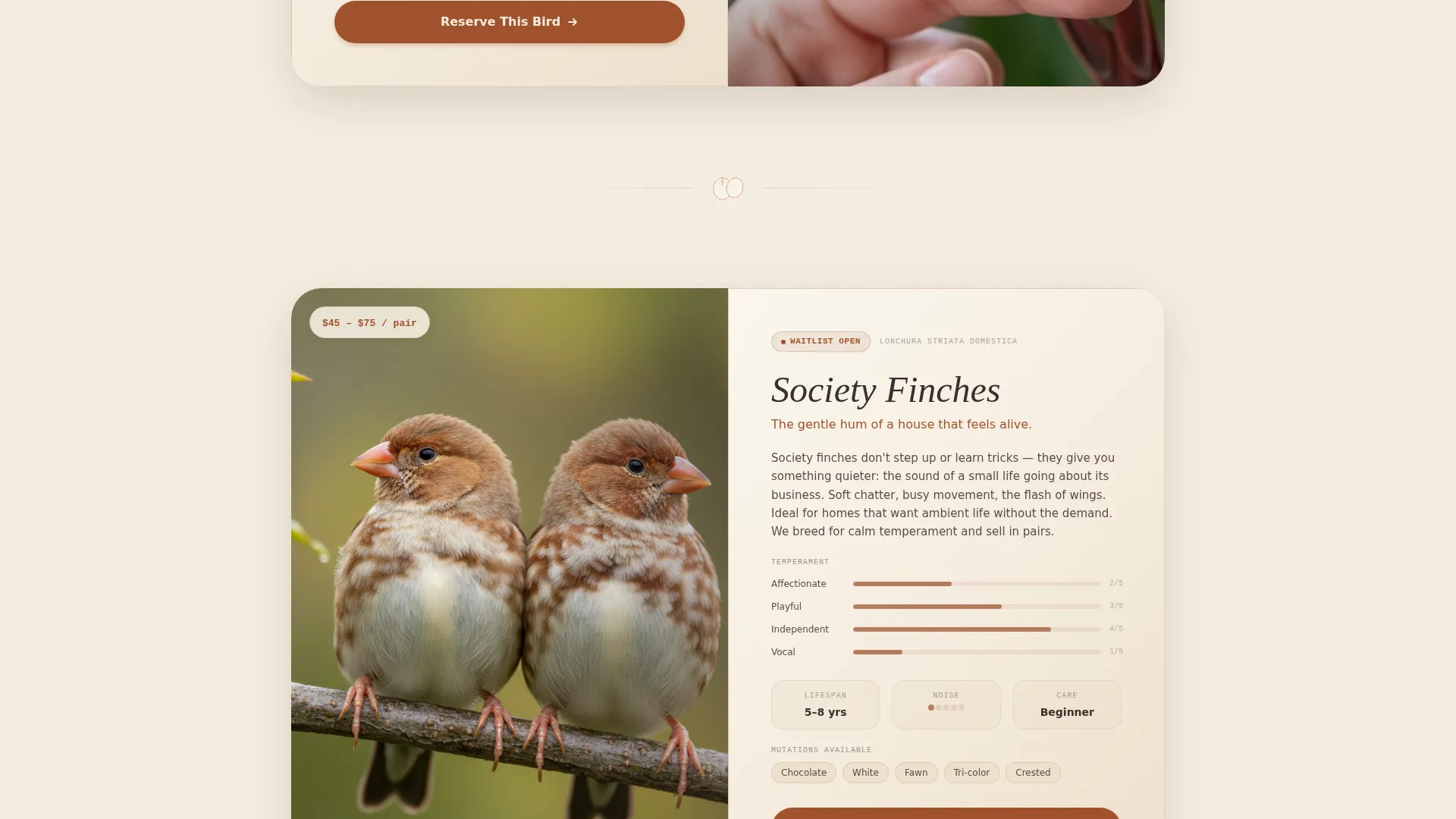 Highconverting Breeder Landing Page Template