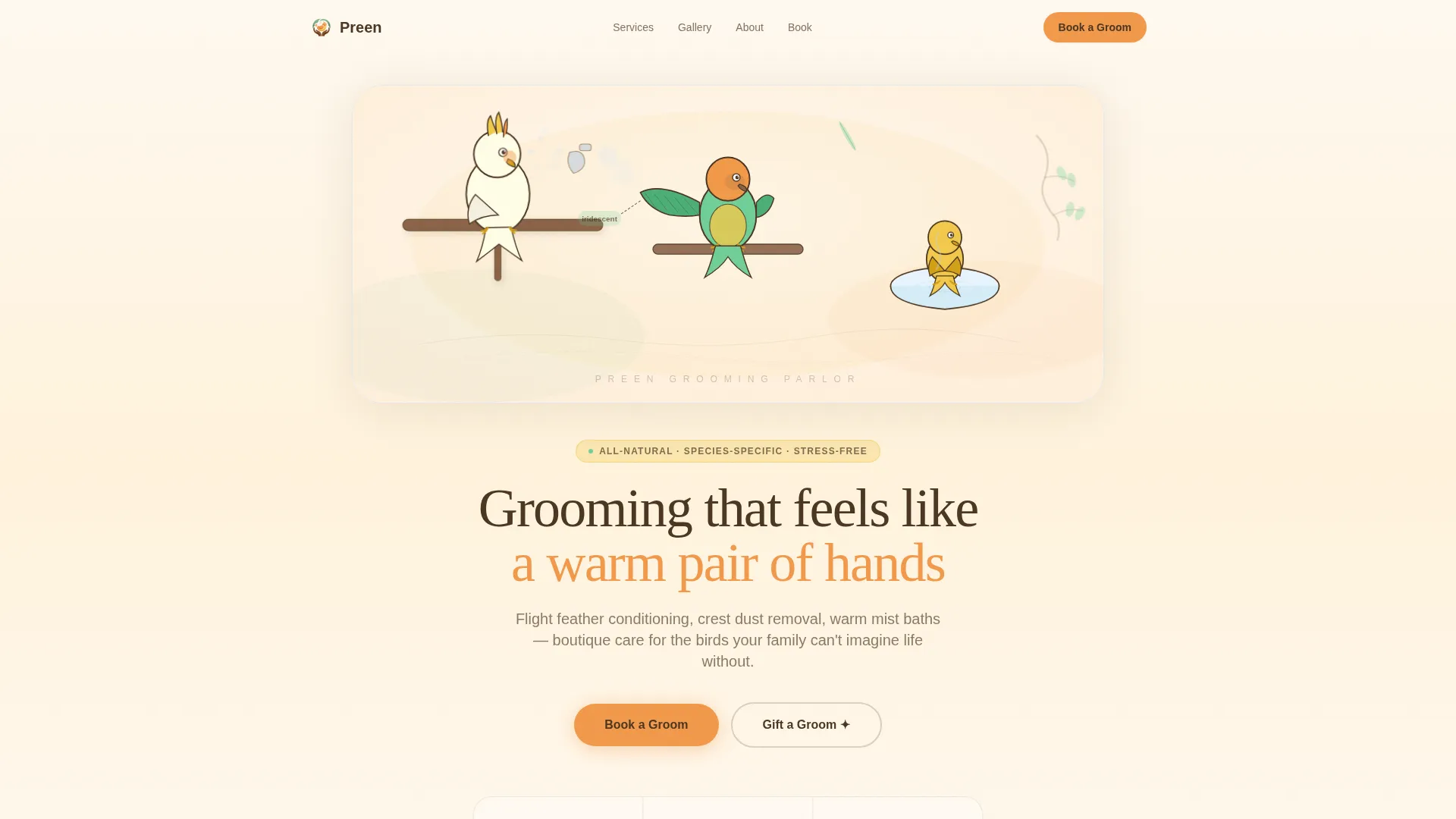 Bird Booking Website Template
