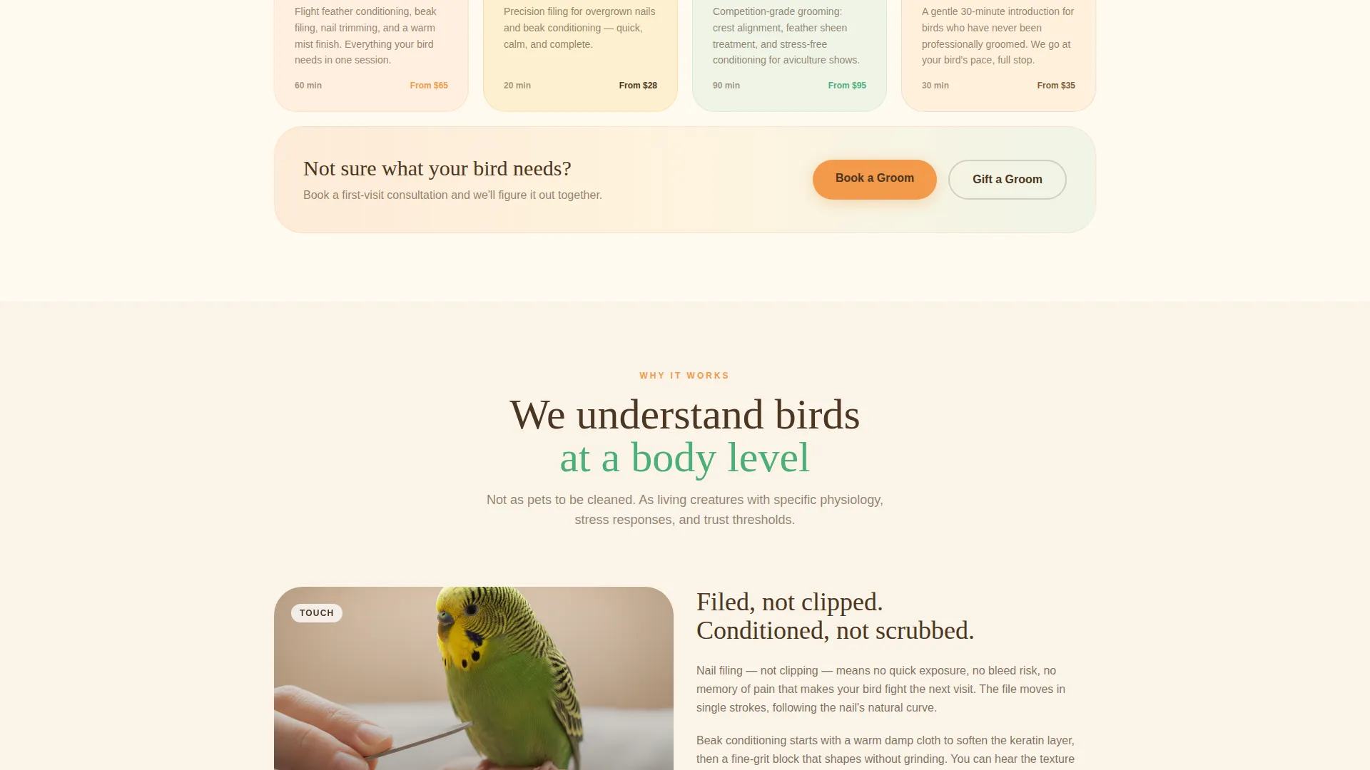 Bird Booking Website Template