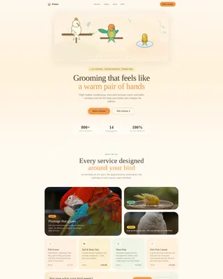 Bird Booking Website Template
