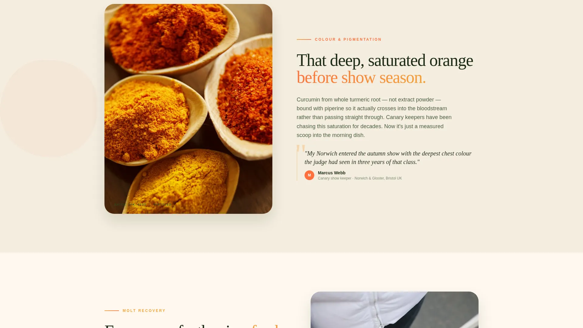 Bird Health Supplement Landing Page Template