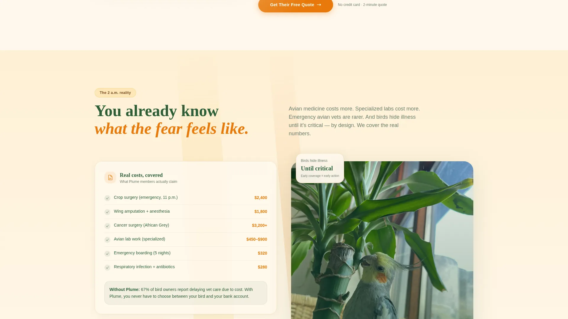 Bird Insurance Landing Page Template for Avian Providers