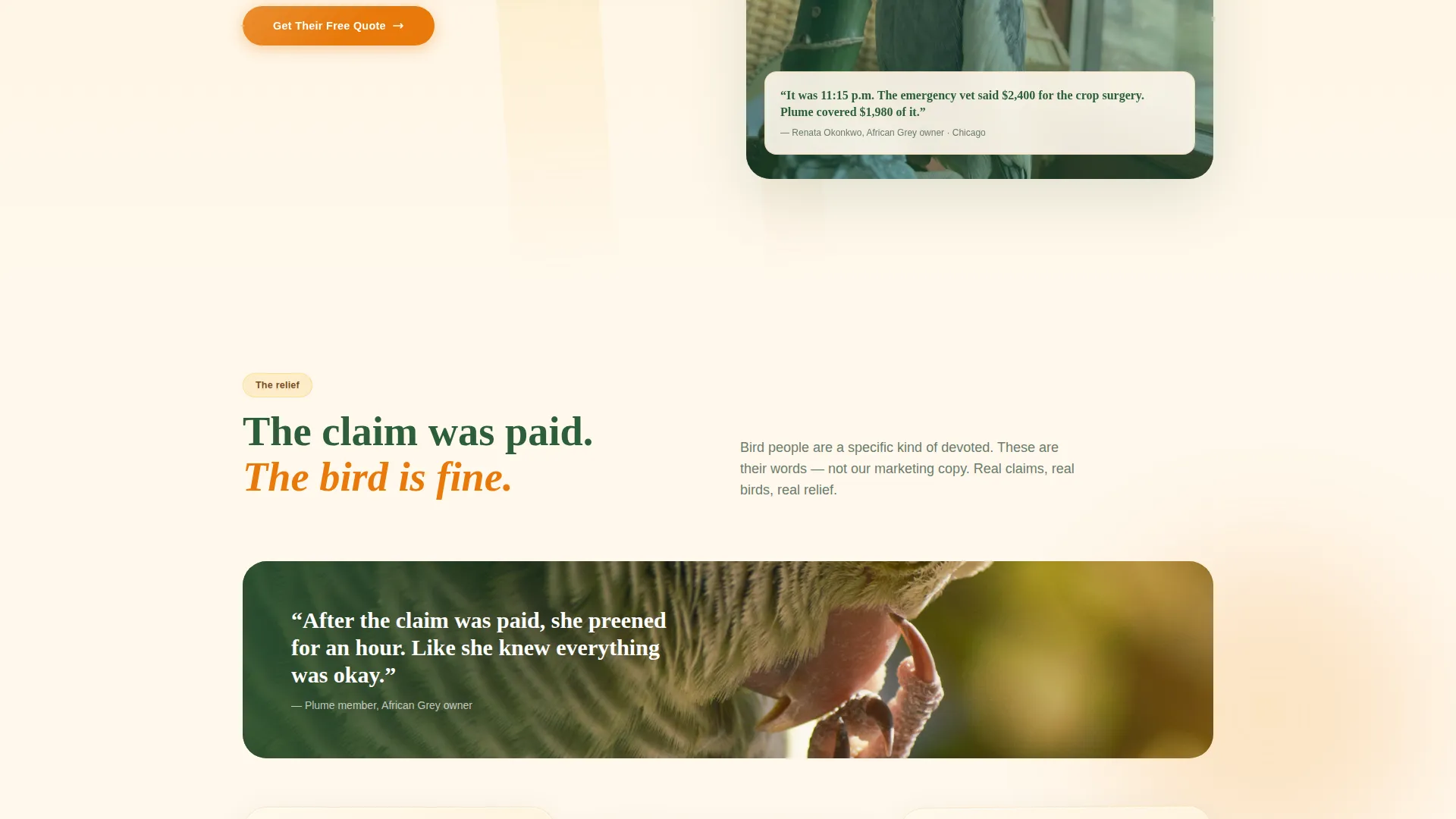 Bird Insurance Landing Page Template for Avian Providers