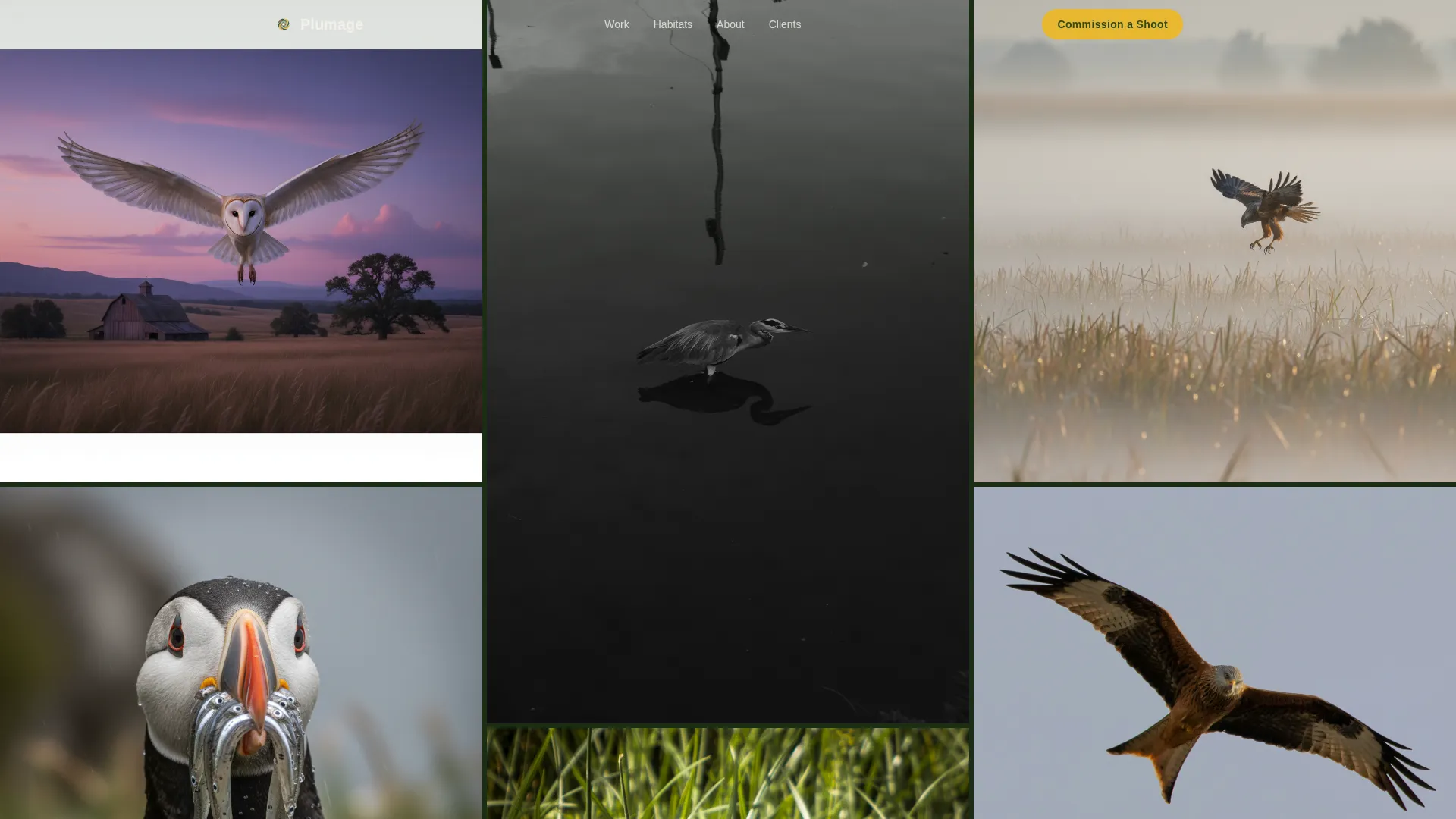 Bird Photography Landing Page Template