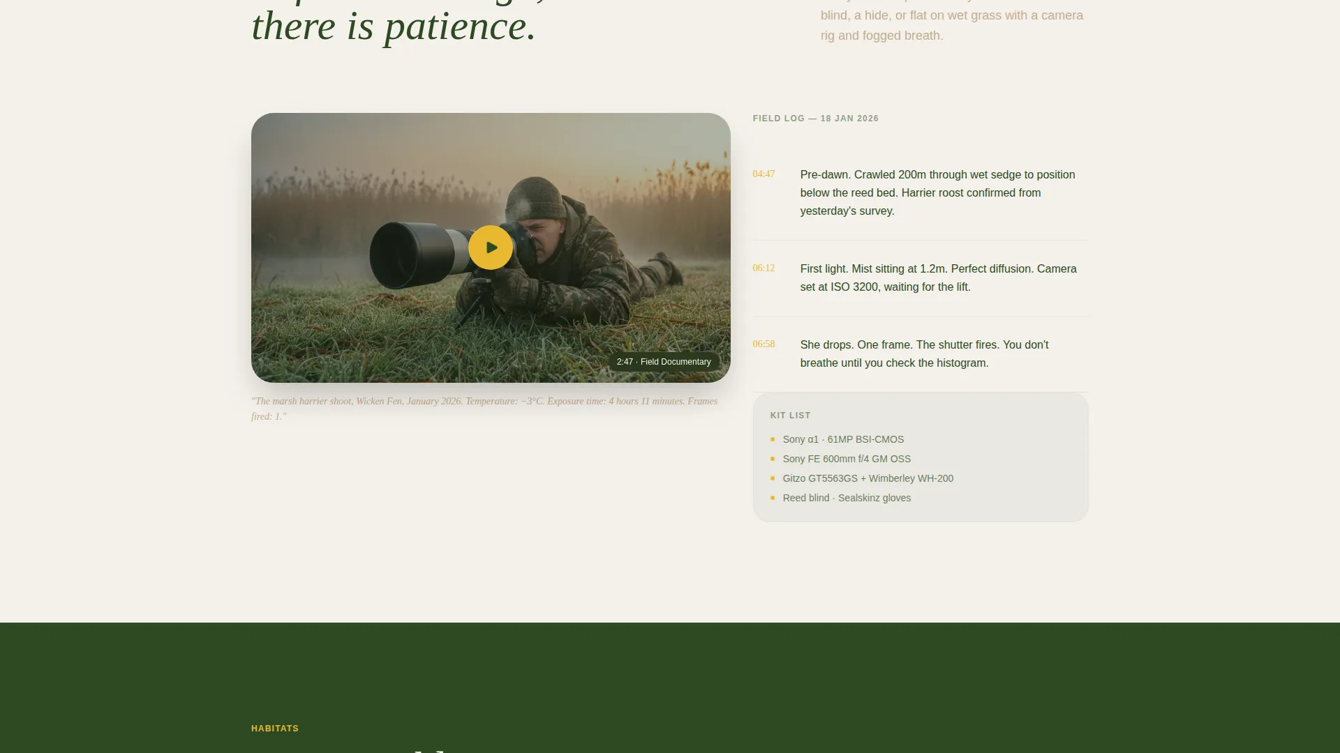 Bird Photography Landing Page Template