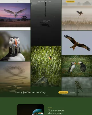 Bird Photography Landing Page Template