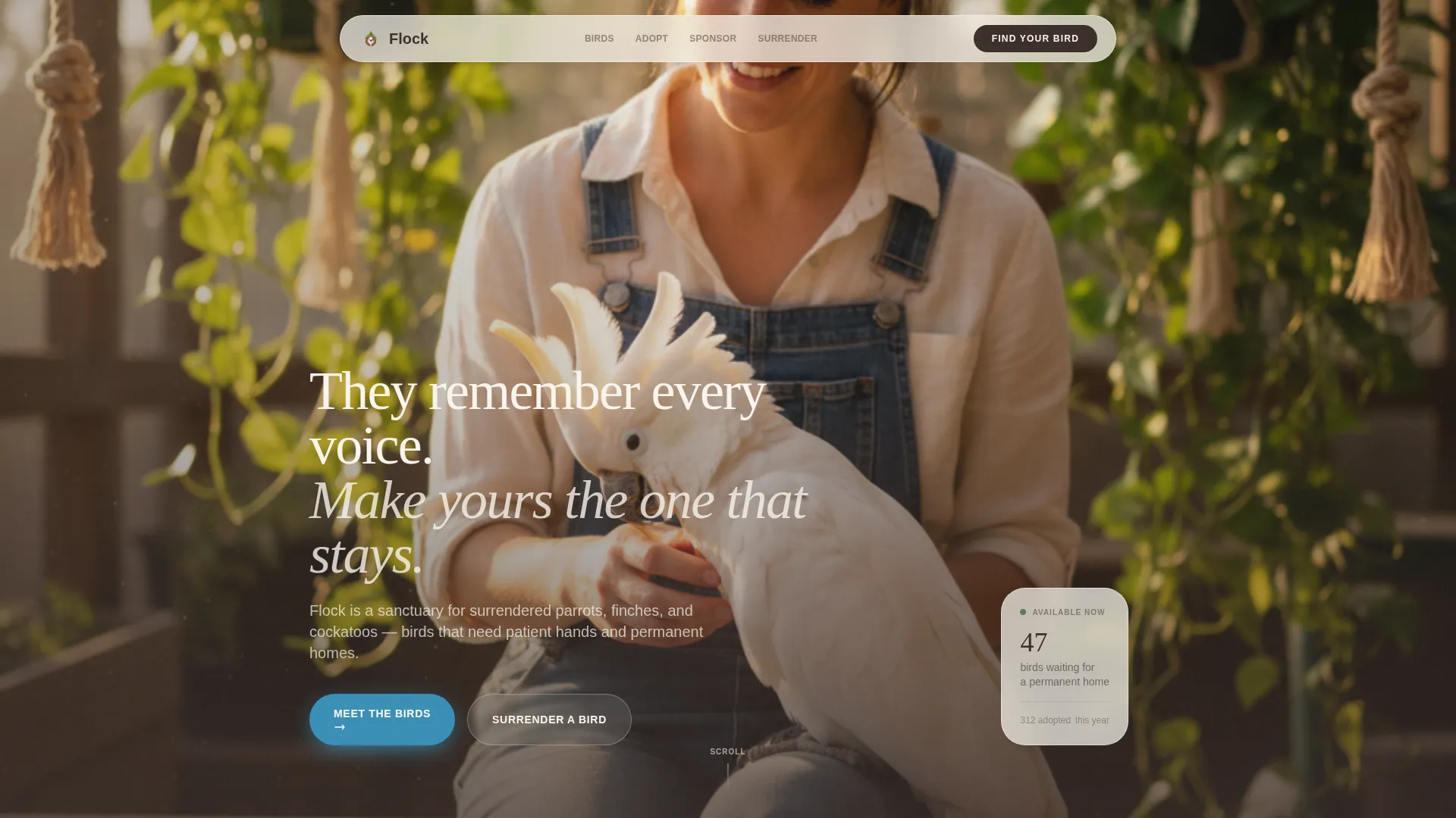 Bird Rescue & Adoption Landing Page Template