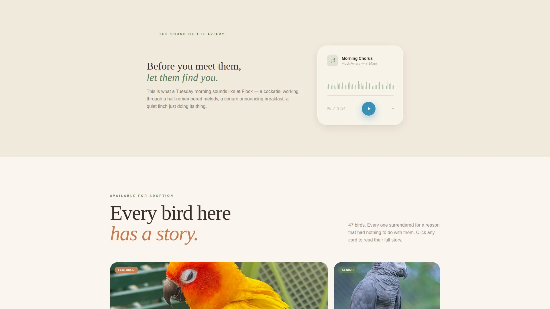 Bird Rescue & Adoption Landing Page Template