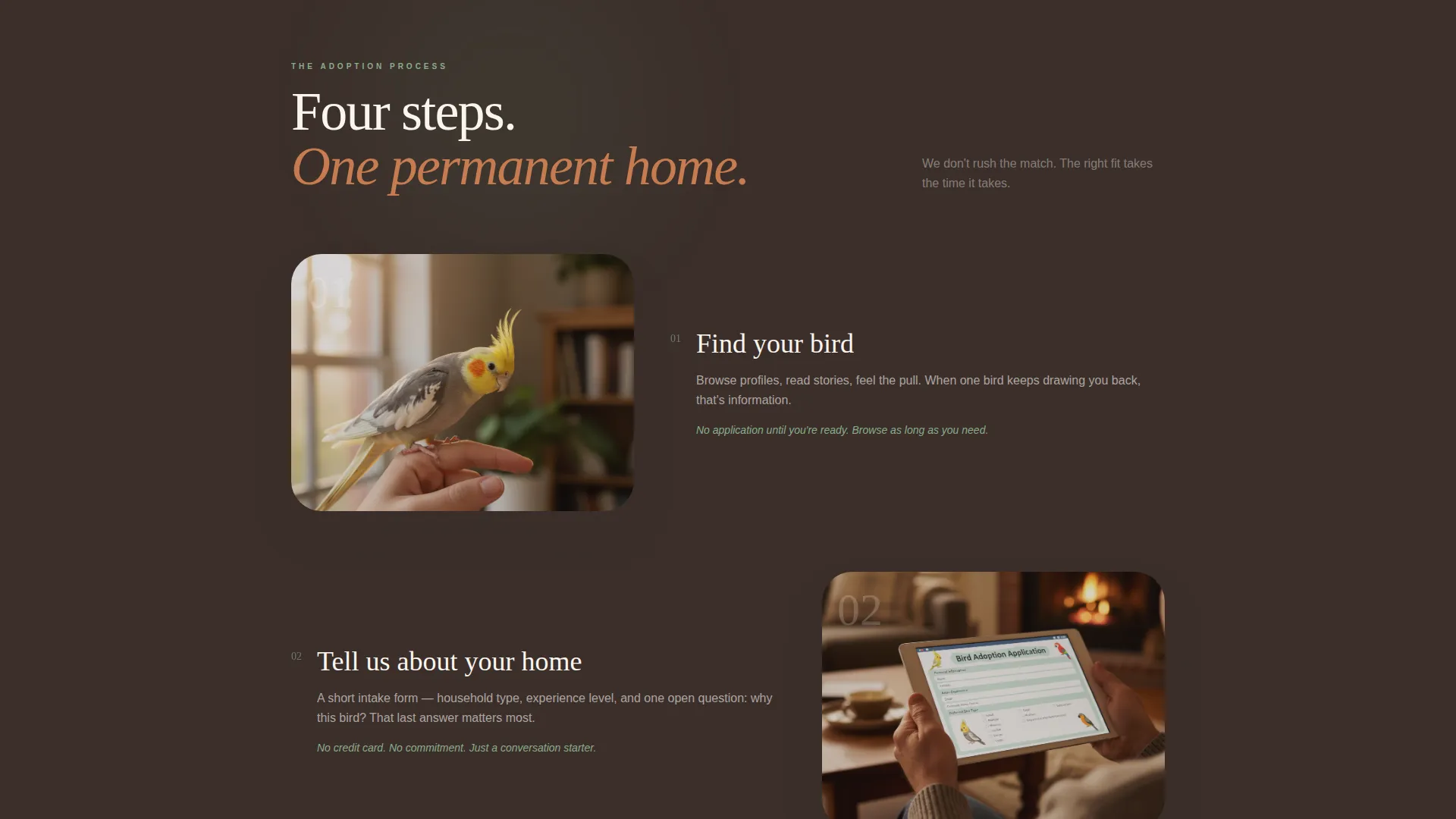 Bird Rescue & Adoption Landing Page Template