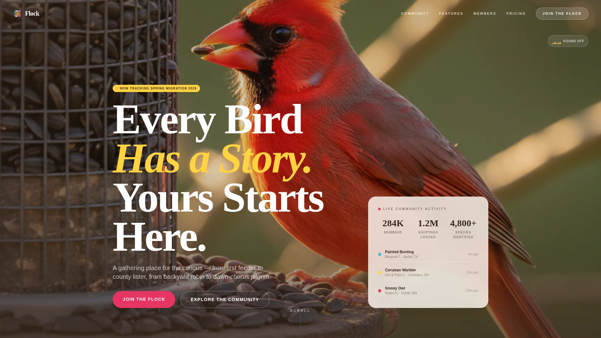 Vibrant Birding Community Landing Page Template