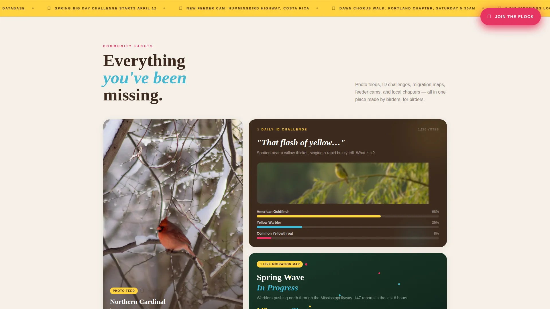 Vibrant Birding Community Landing Page Template