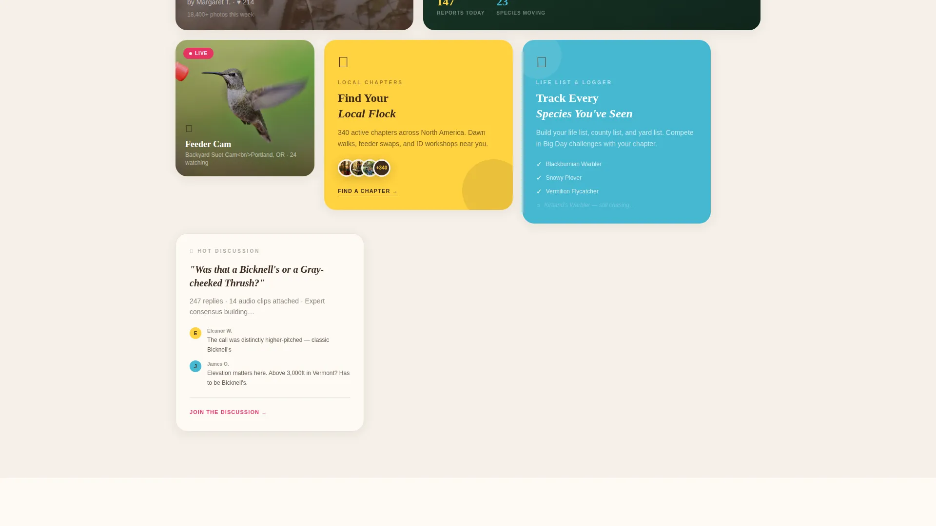 Vibrant Birding Community Landing Page Template