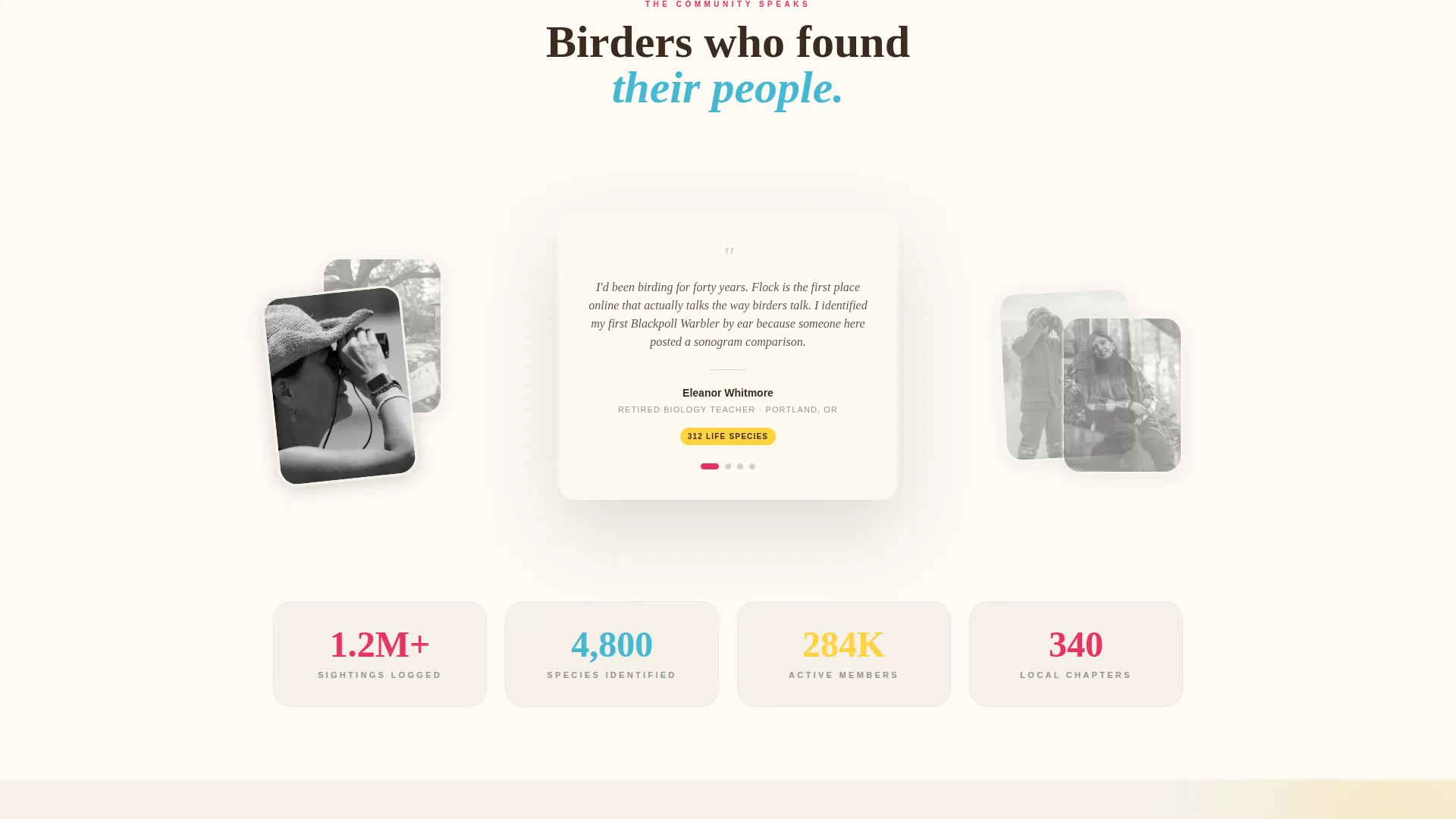 Vibrant Birding Community Landing Page Template