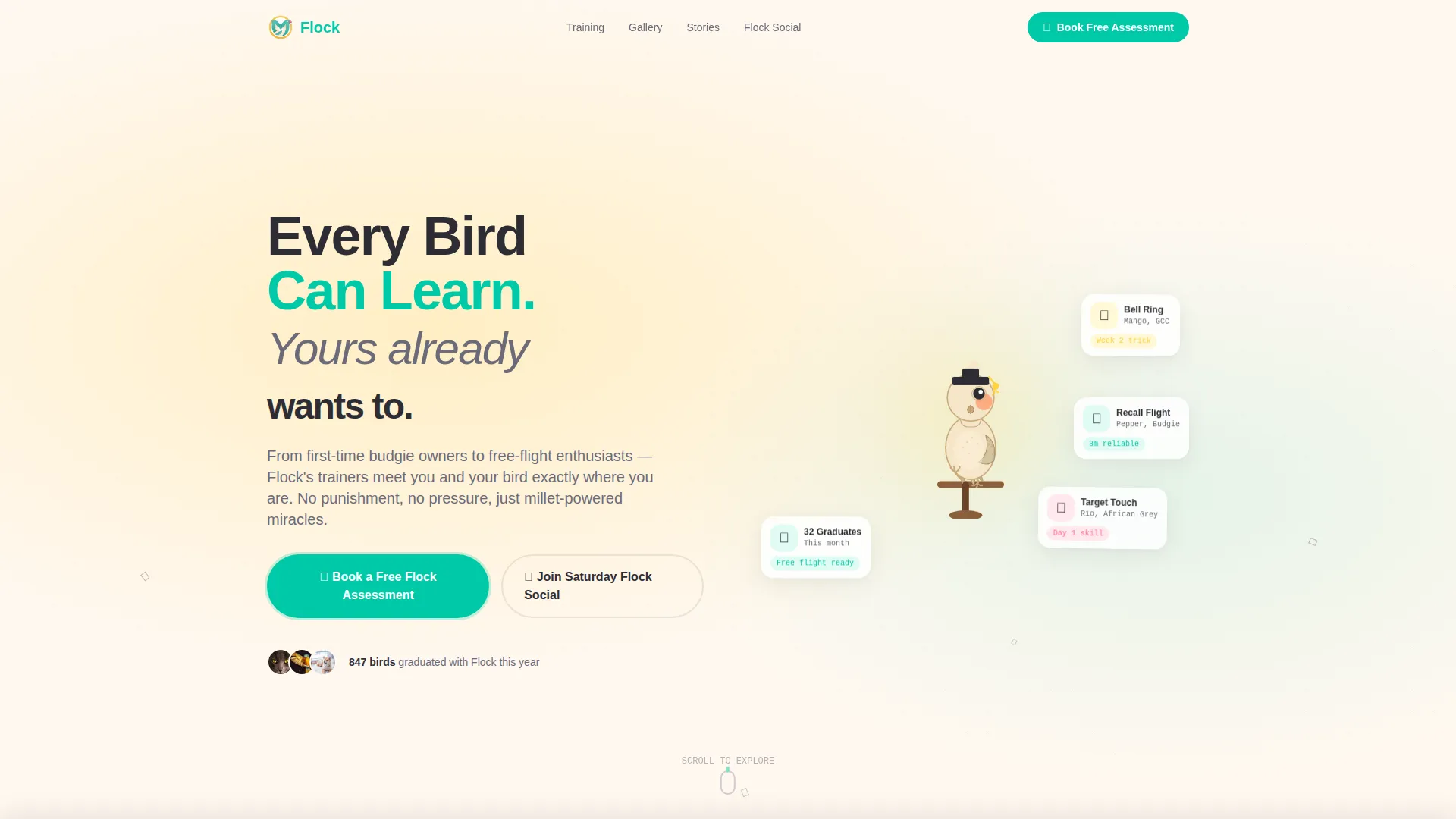 Bird Training School Landing Page Template