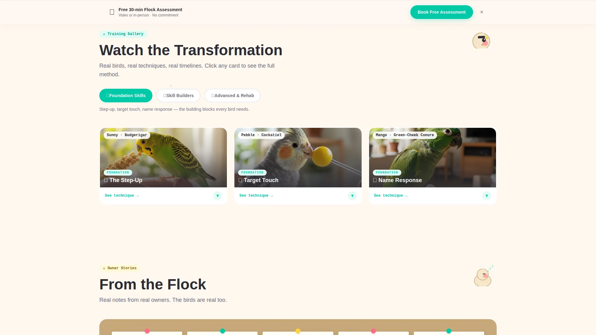 Bird Training School Landing Page Template