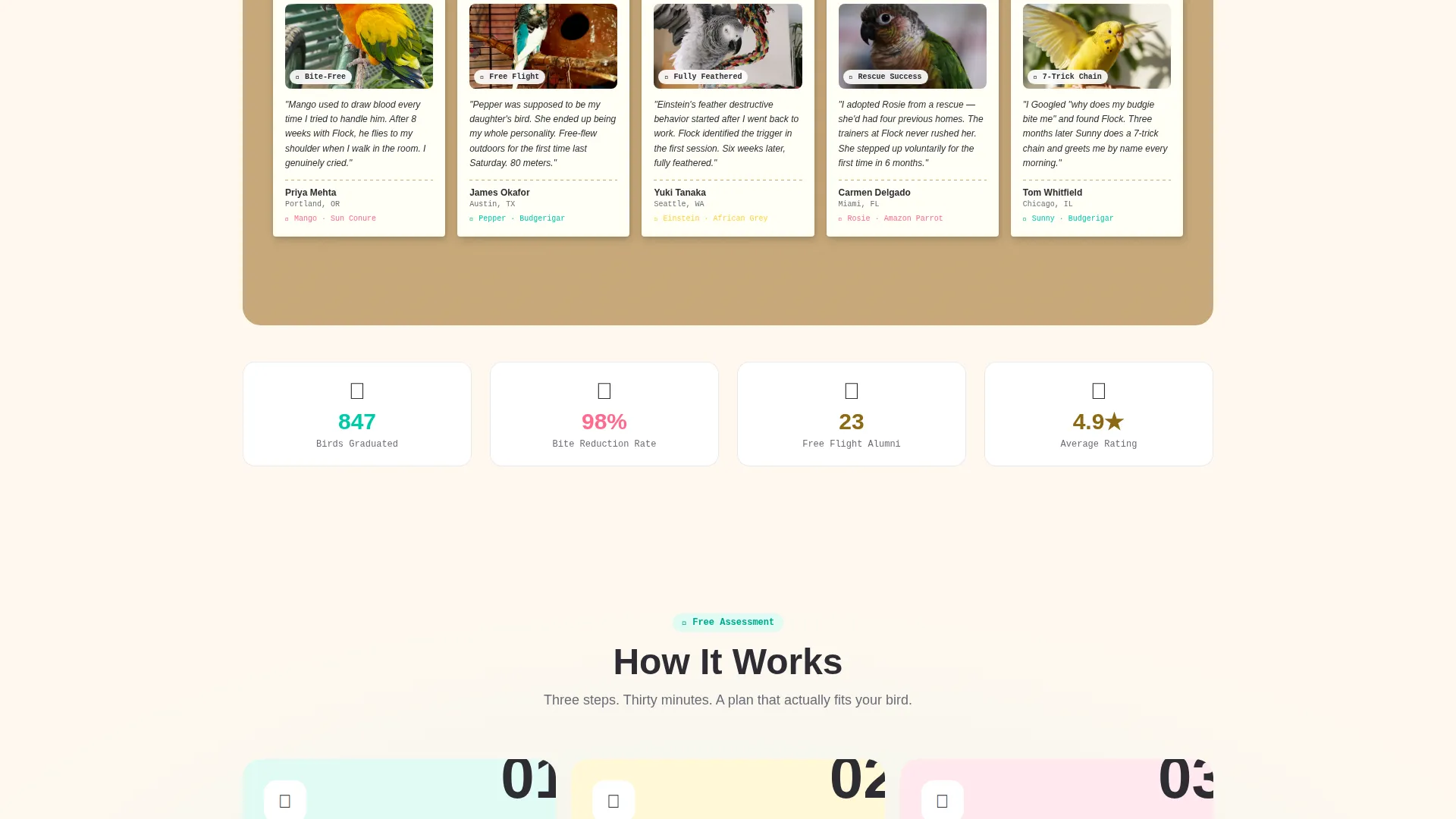 Bird Training School Landing Page Template