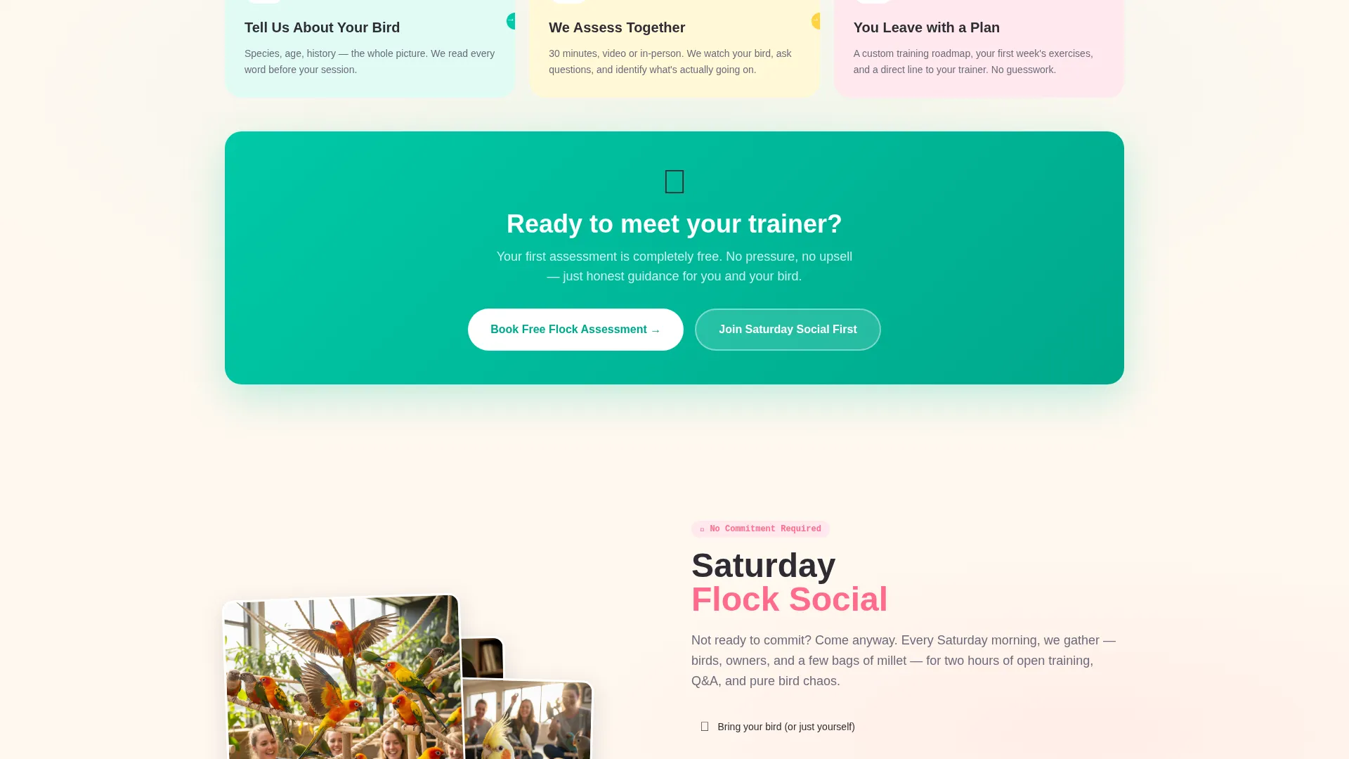 Bird Training School Landing Page Template