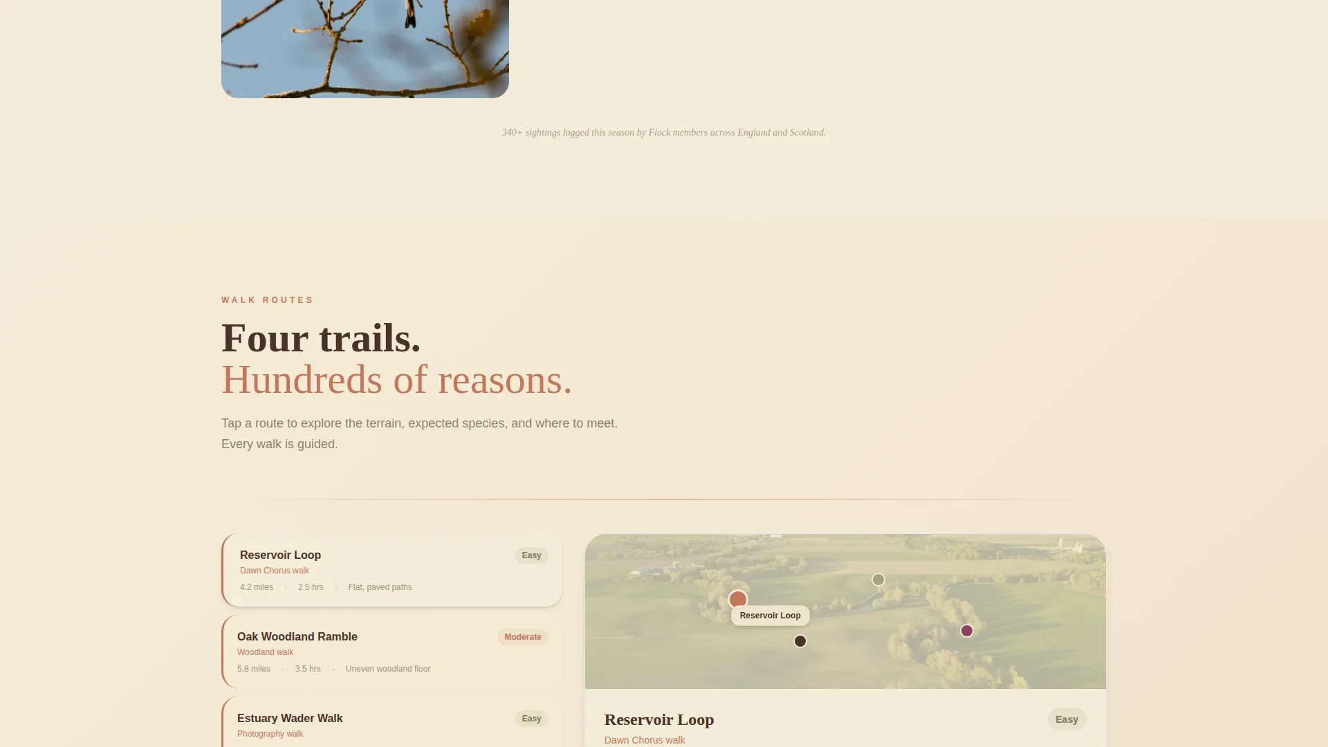 Wildlife & Conservation Appointment Booking Website Template