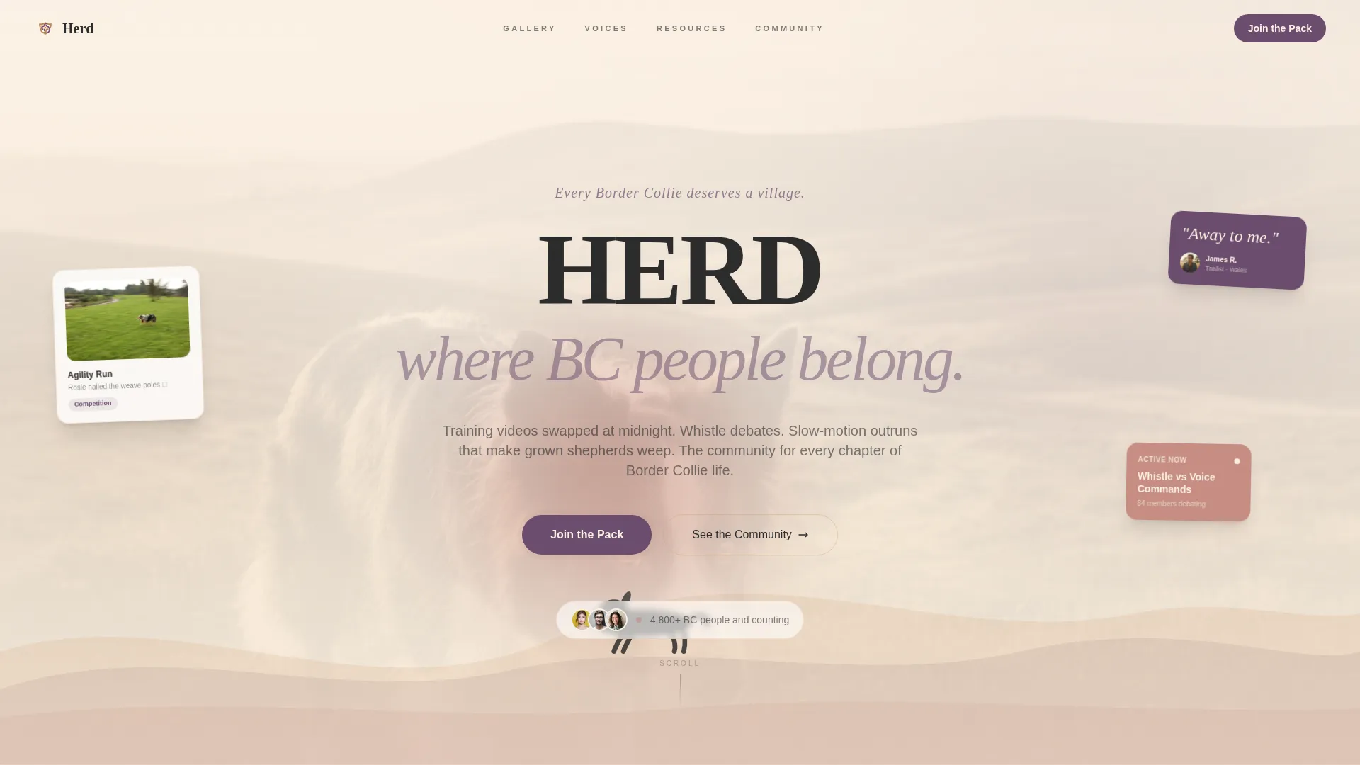 Dog Certified Professional Website Template