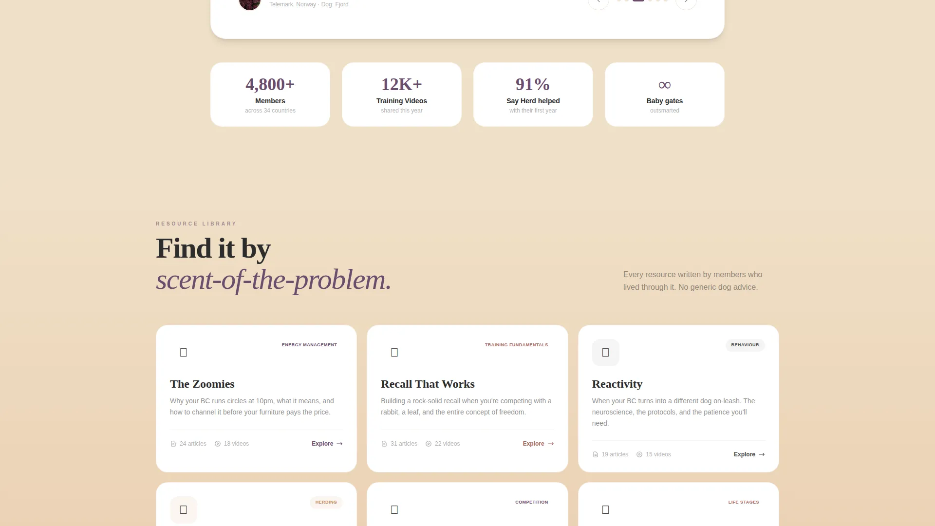 Dog Certified Professional Website Template