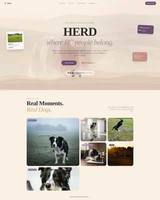 Dog Certified Professional Website Template