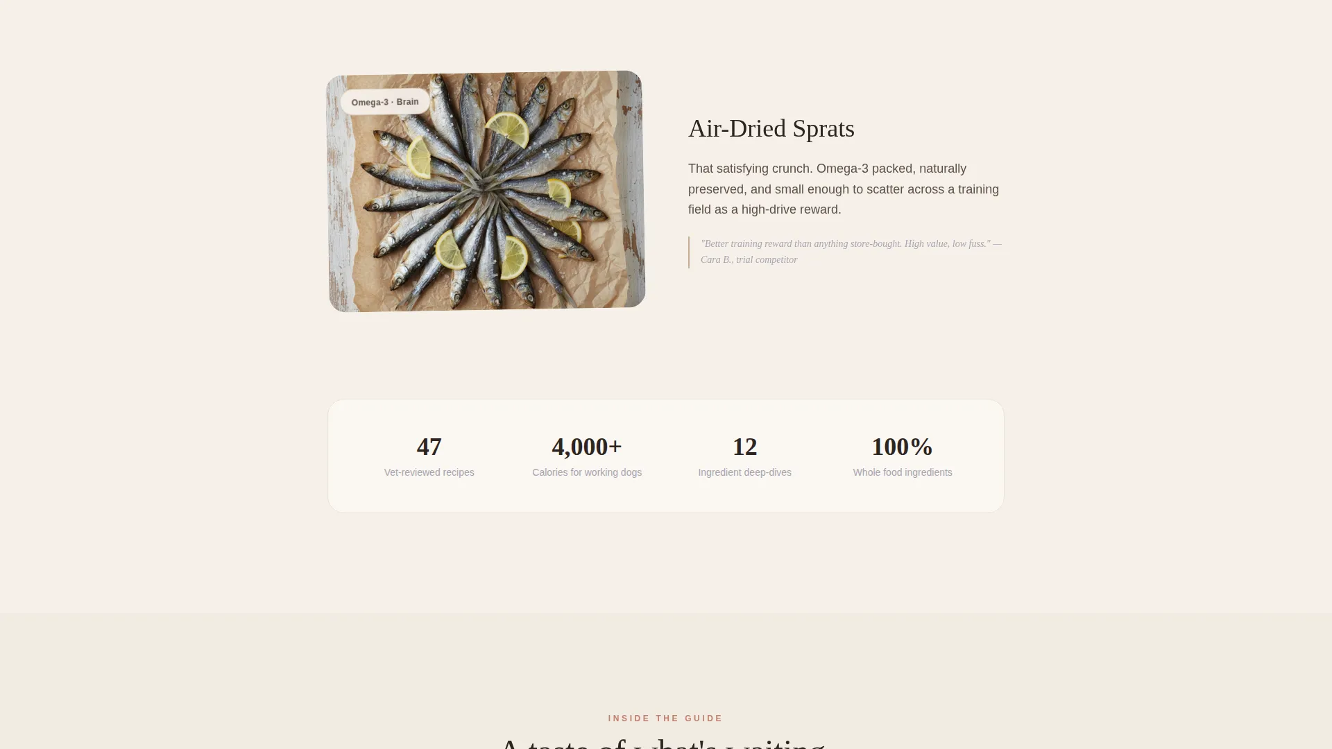 Dog Online Professional Website Template